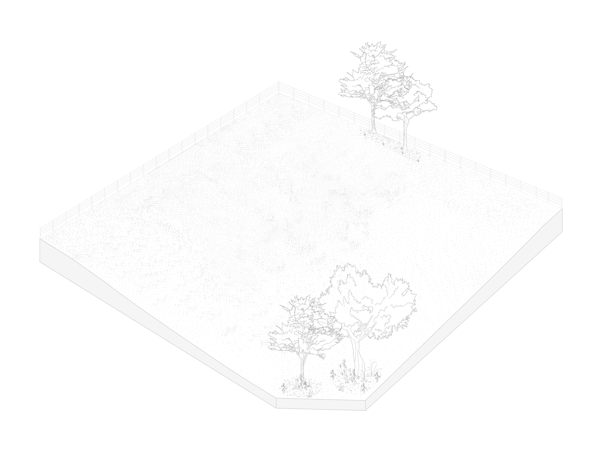Axonometric drawing of the empty fenced site, a bare grassy plot with two clusters of trees at opposite corners