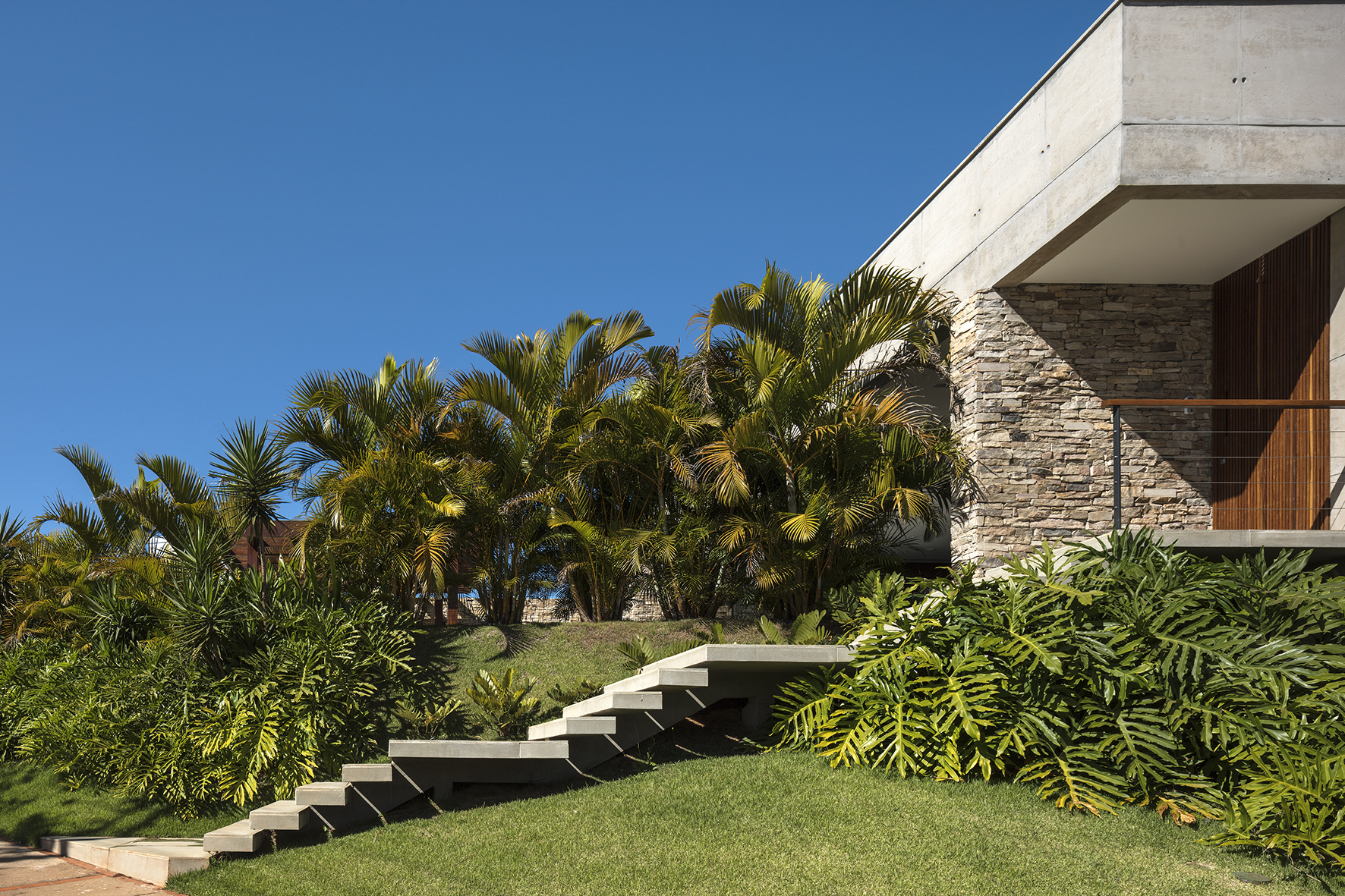Cantilevered concrete stair rising across a lawn through palms and philodendron toward a stone-clad wall and timber screen in bright sun