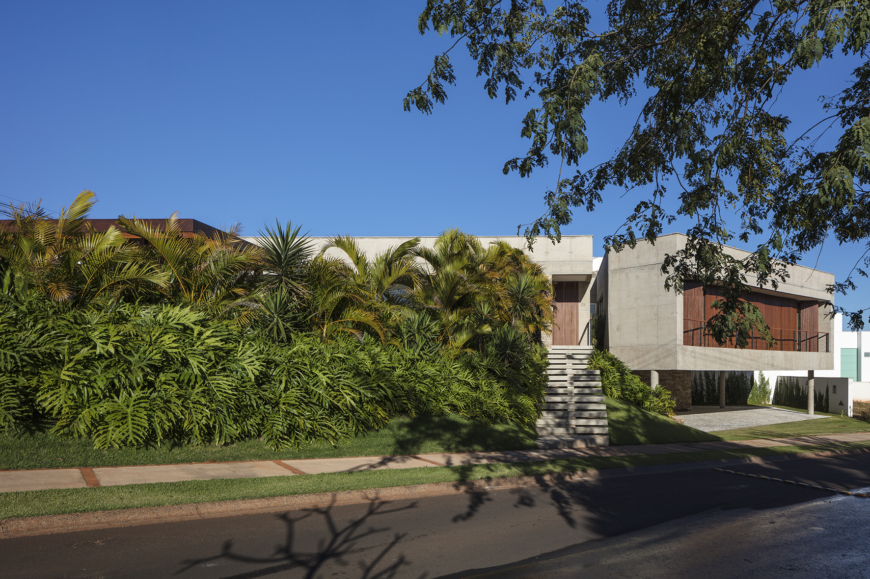 Street view of the concrete house with timber-screened upper volume, a concrete stair and dense palms, shaded by an overhanging branch