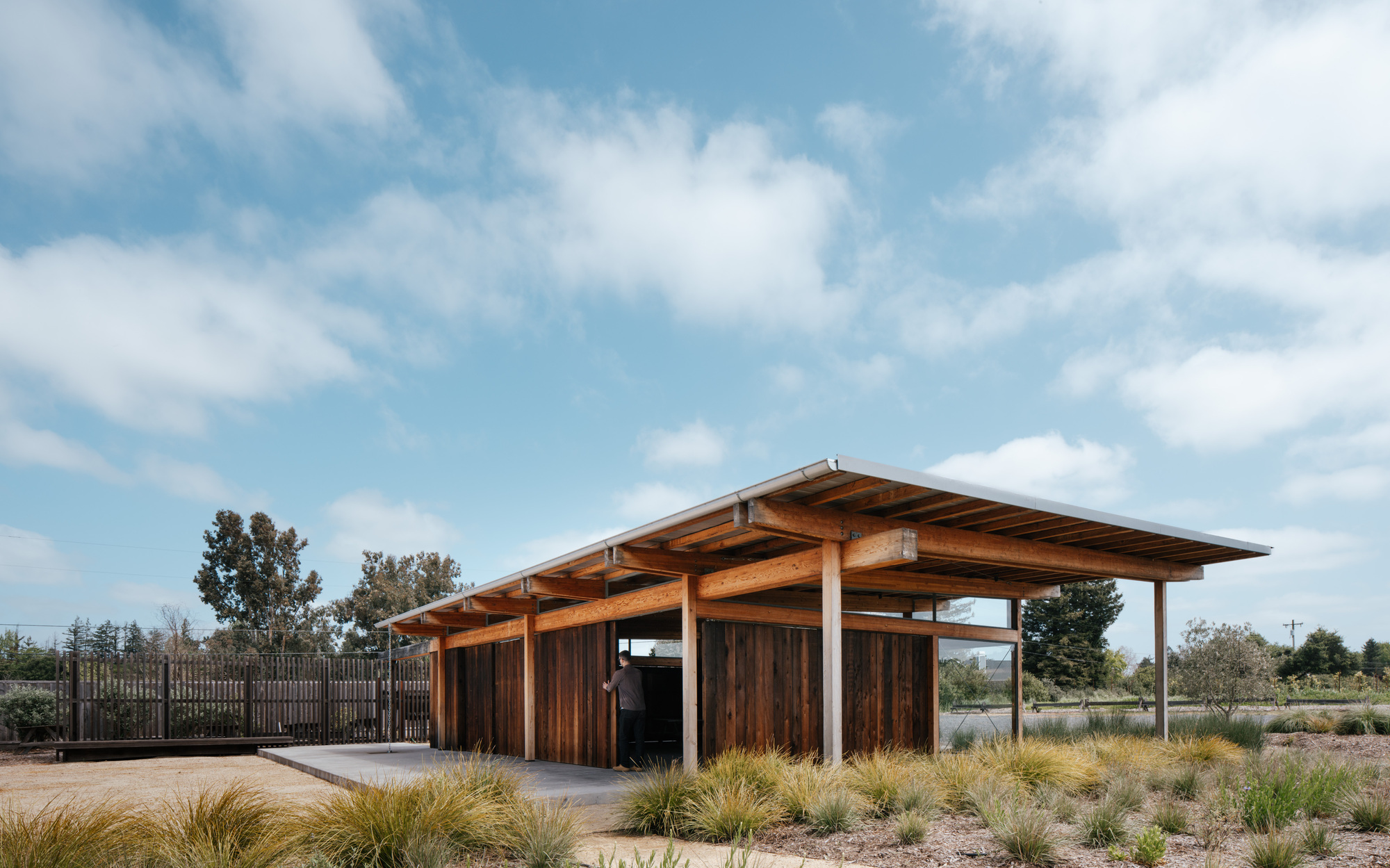 Corner view of the timber pavilion's cantilevered roof and exposed beams, with a person standing in the open doorway among tall grasses