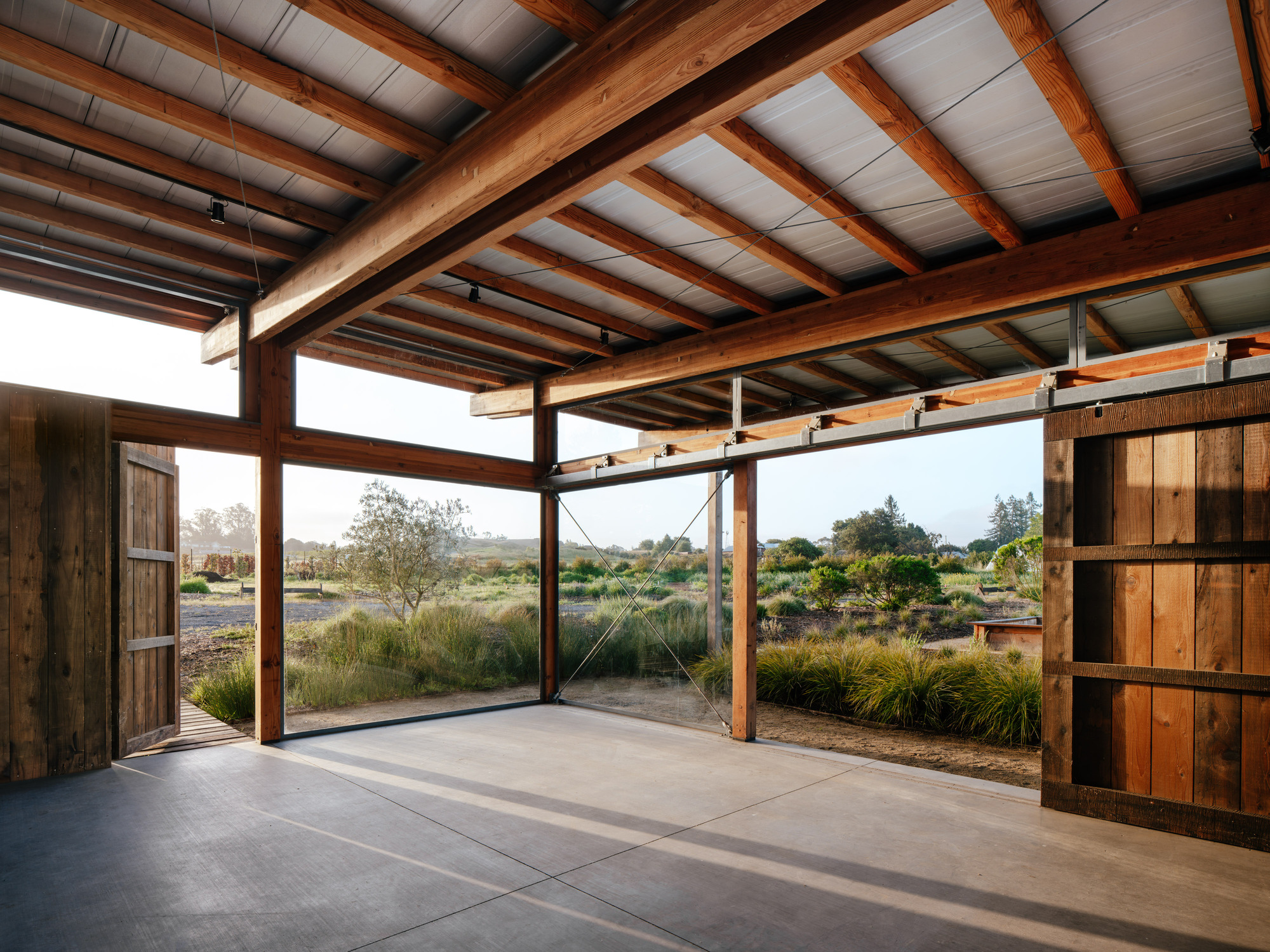 Interior of the open pavilion with exposed timber beams, corrugated roof underside, sliding wood doors and glass walls looking onto grasses in low sun