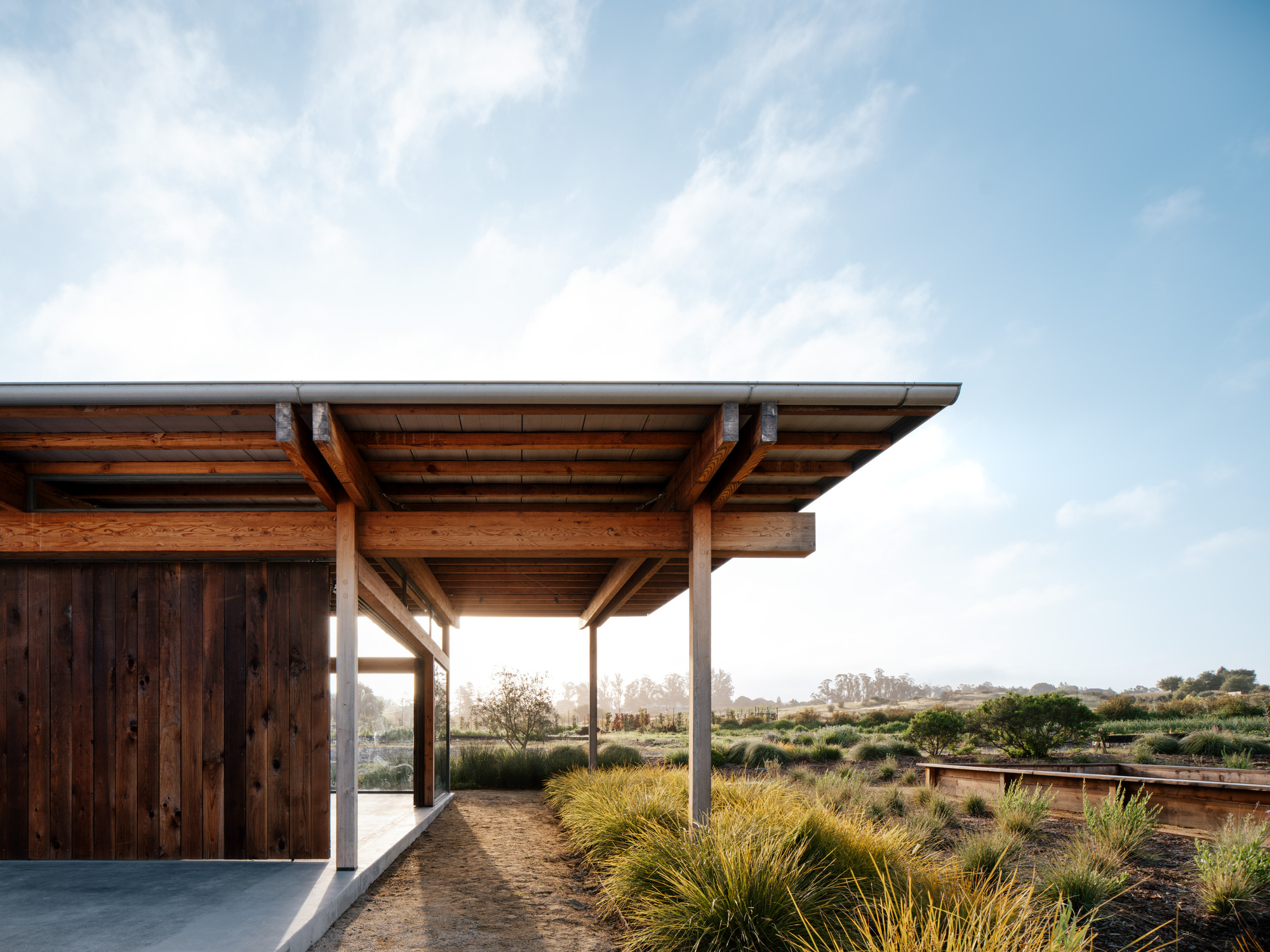 Side view of the deep roof overhang on slim timber posts above a gravel path, with backlit grasses and a hazy field beyond