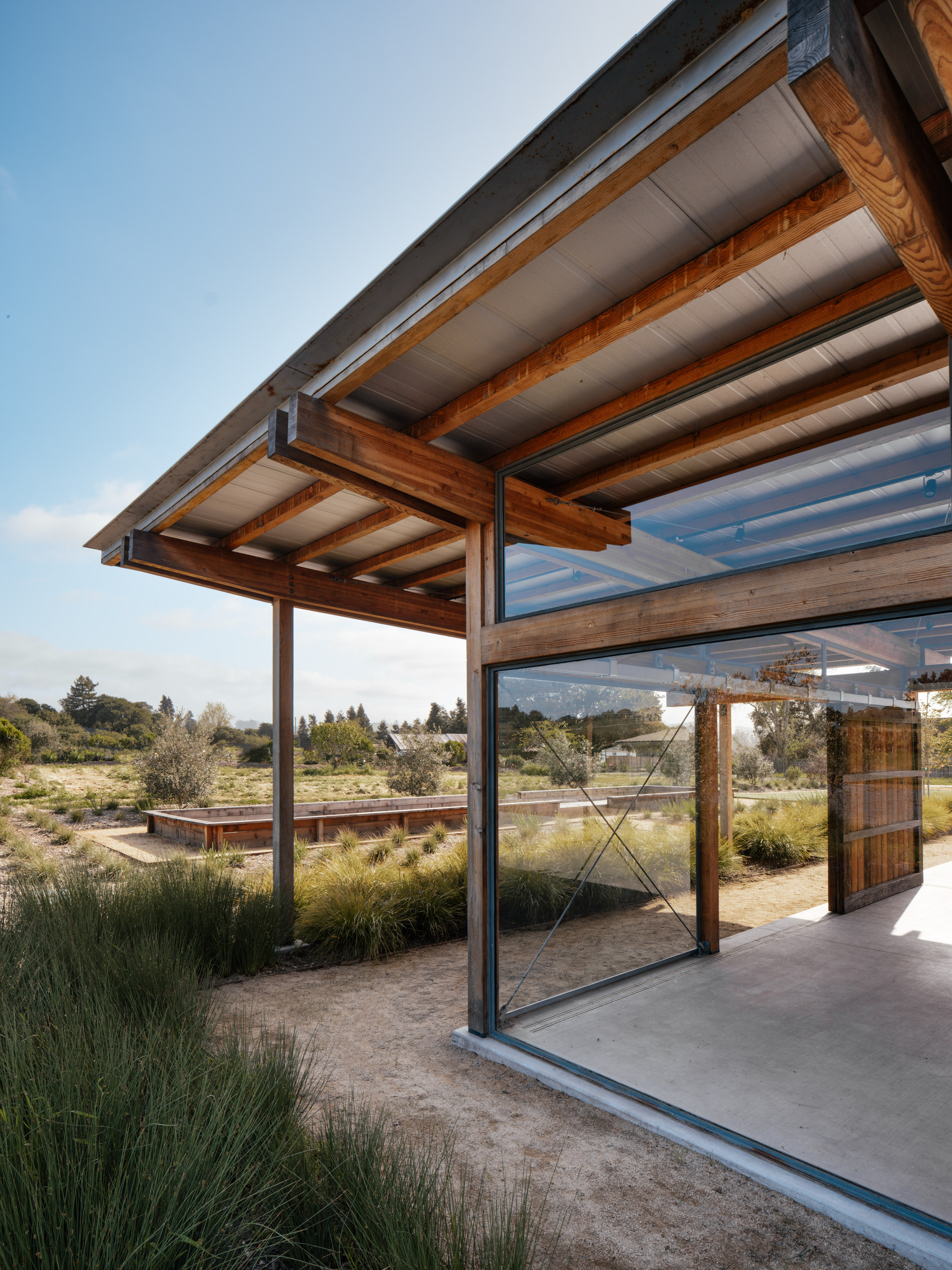 Corner of the pavilion showing exposed rafters, corrugated roof underside and a glass wall with sliding timber panel, set among grasses