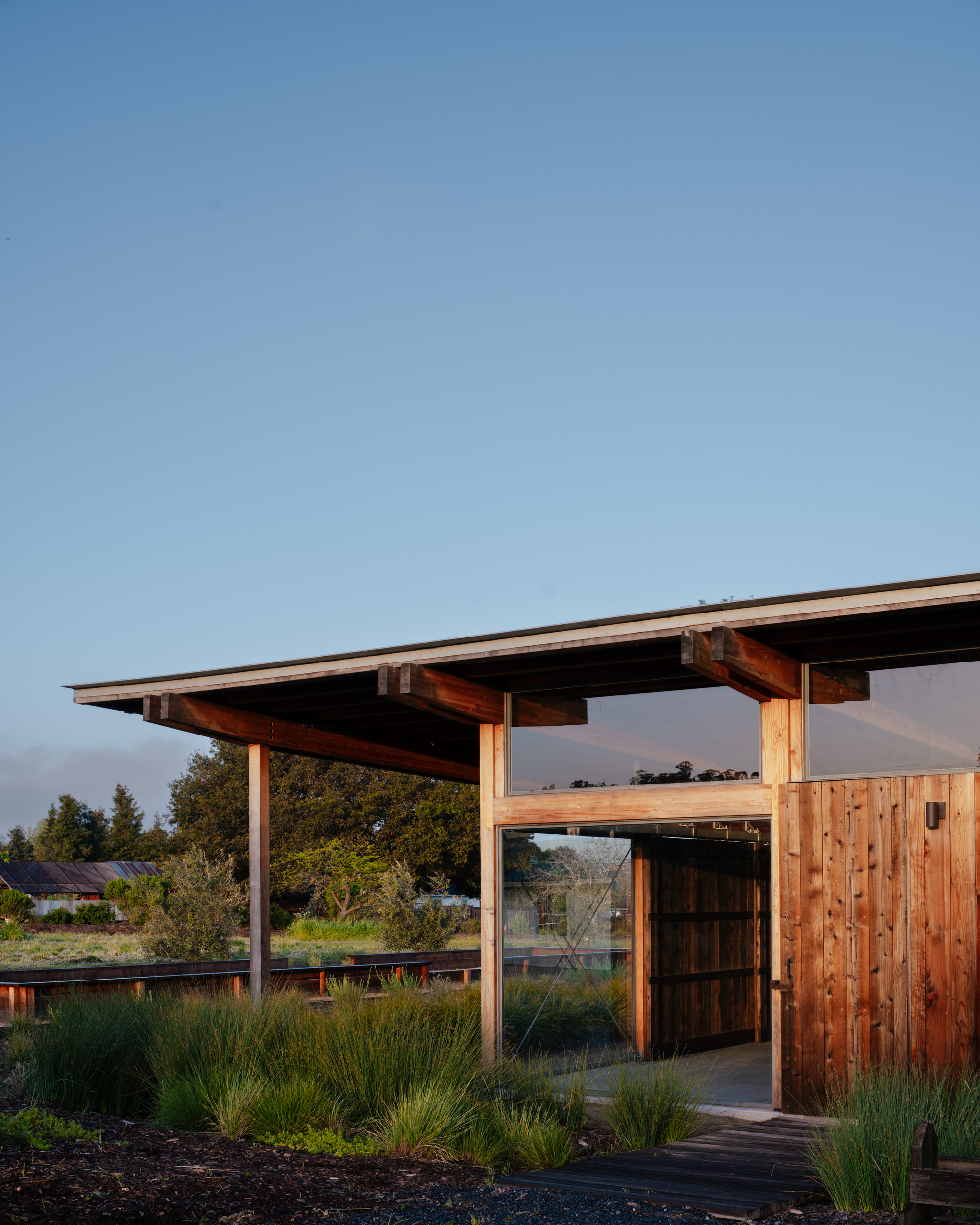 Pavilion corner with slender timber posts, glazed opening and cedar-clad wall behind a planting of grasses in clear evening light