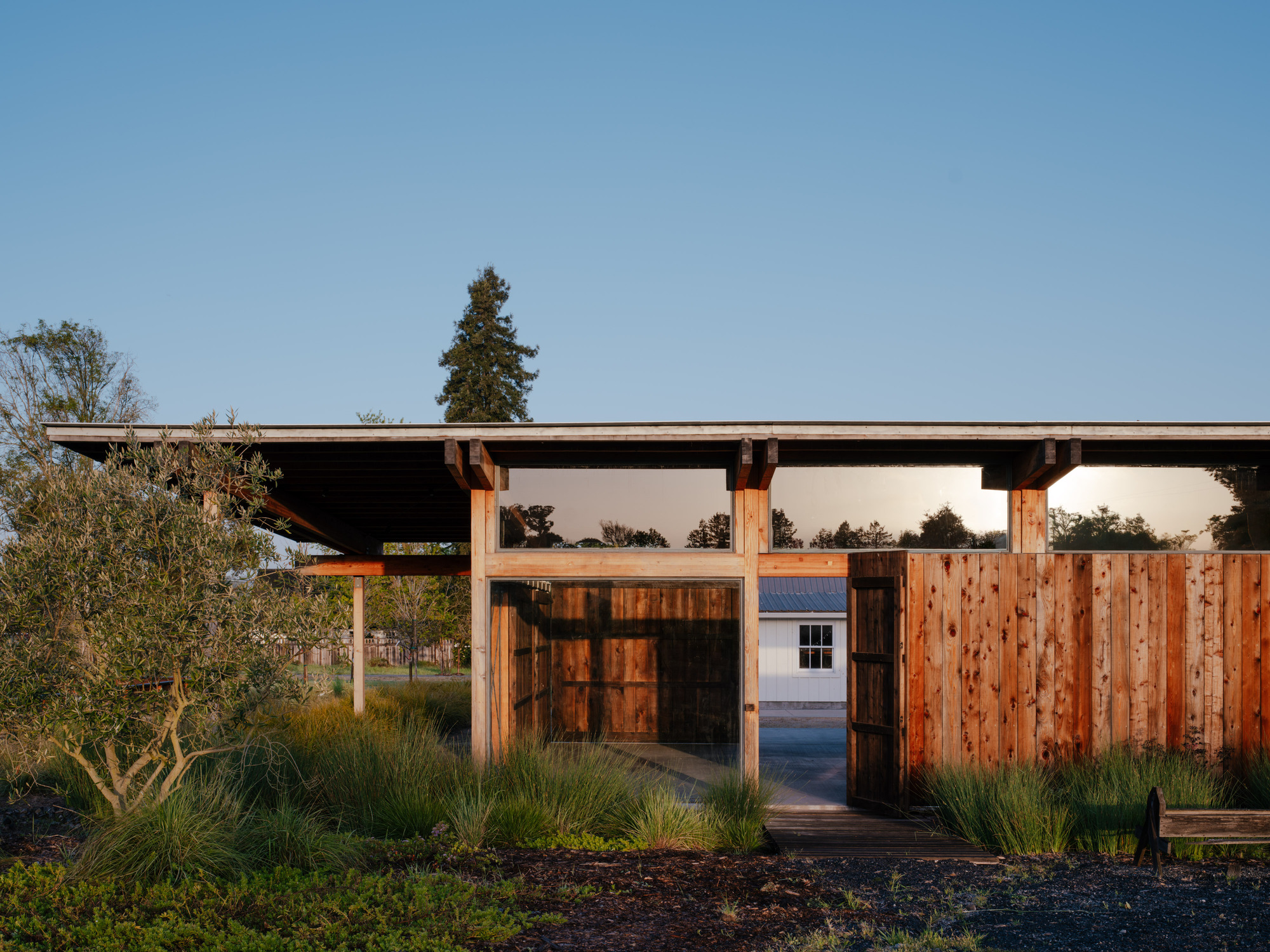 Pavilion elevation with clerestory glass above a cedar plank wall and open gate, framed by an olive tree at dusk