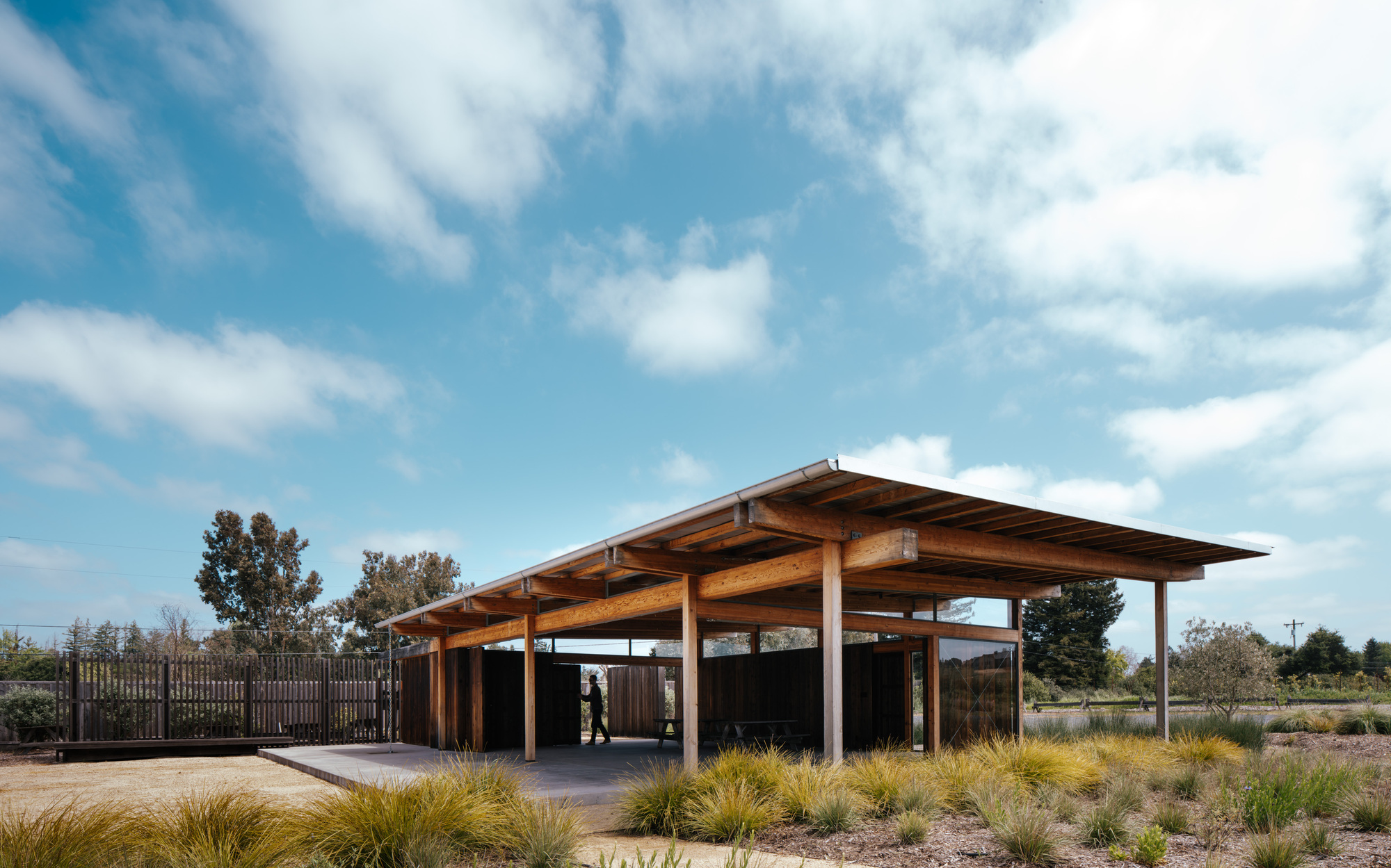 Three-quarter view of the open timber pavilion with a person walking inside, surrounded by golden grasses under a bright cloudy sky