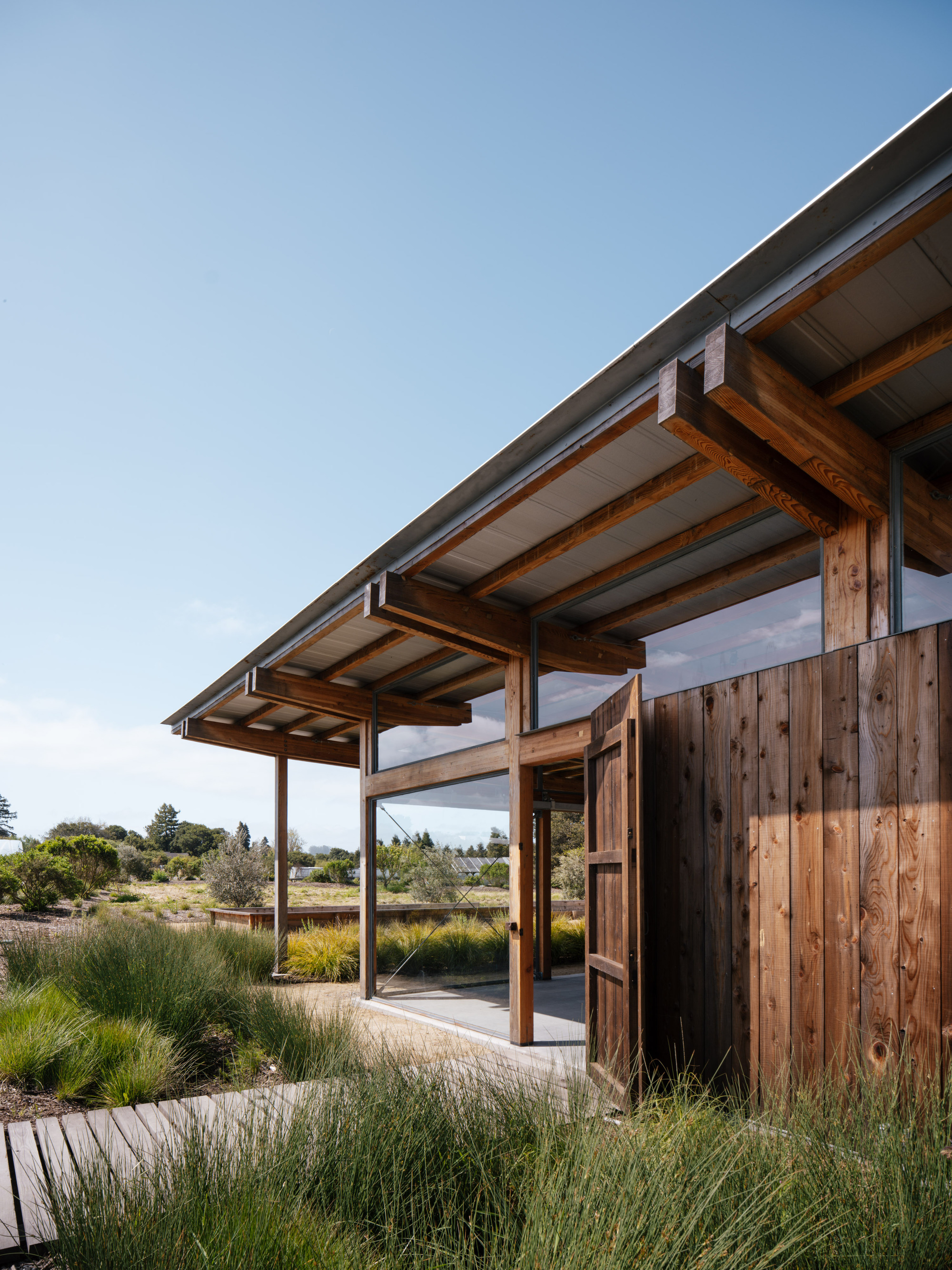 Timber-framed corner with a pivoting wood door and glazed wall, seen across tall grasses under a clear blue sky
