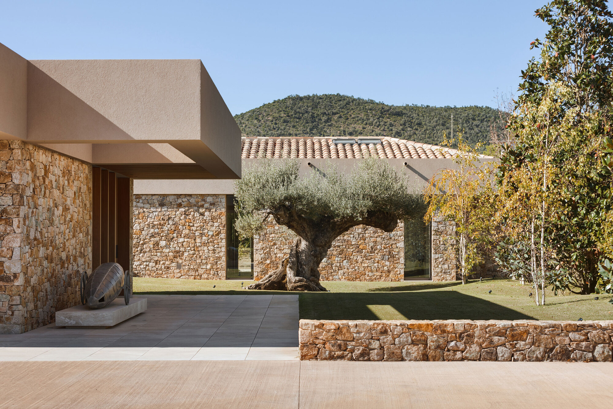 Courtyard with an old olive tree in front of stone walls, a terracotta roof and a sculpture on a plinth in afternoon sun