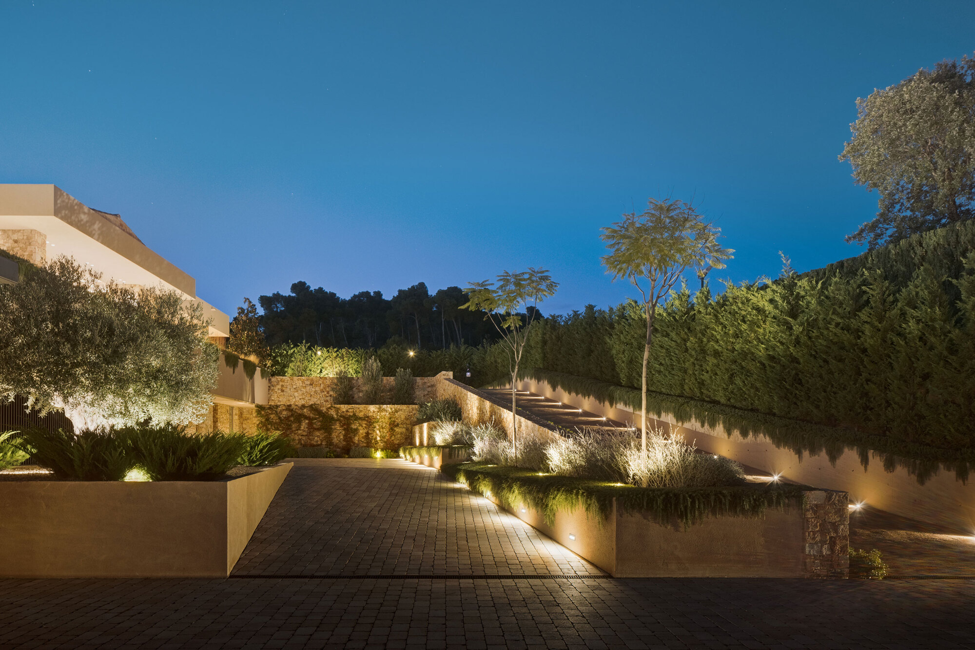 Lit driveway with brick paving, planted terraces and a stepped ramp beneath a clipped hedge at night