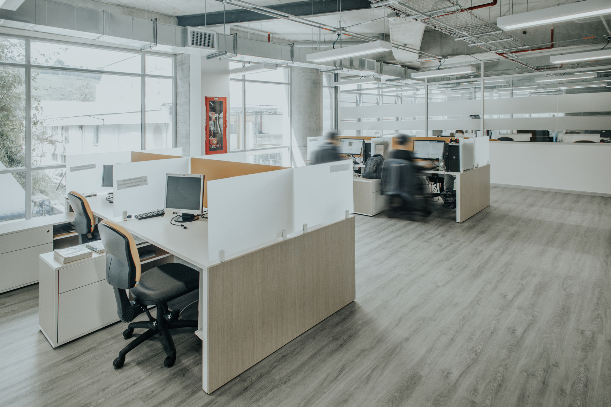 Open office with partitioned desk clusters on grey plank flooring, two workers in motion blur and daylight from tall windows