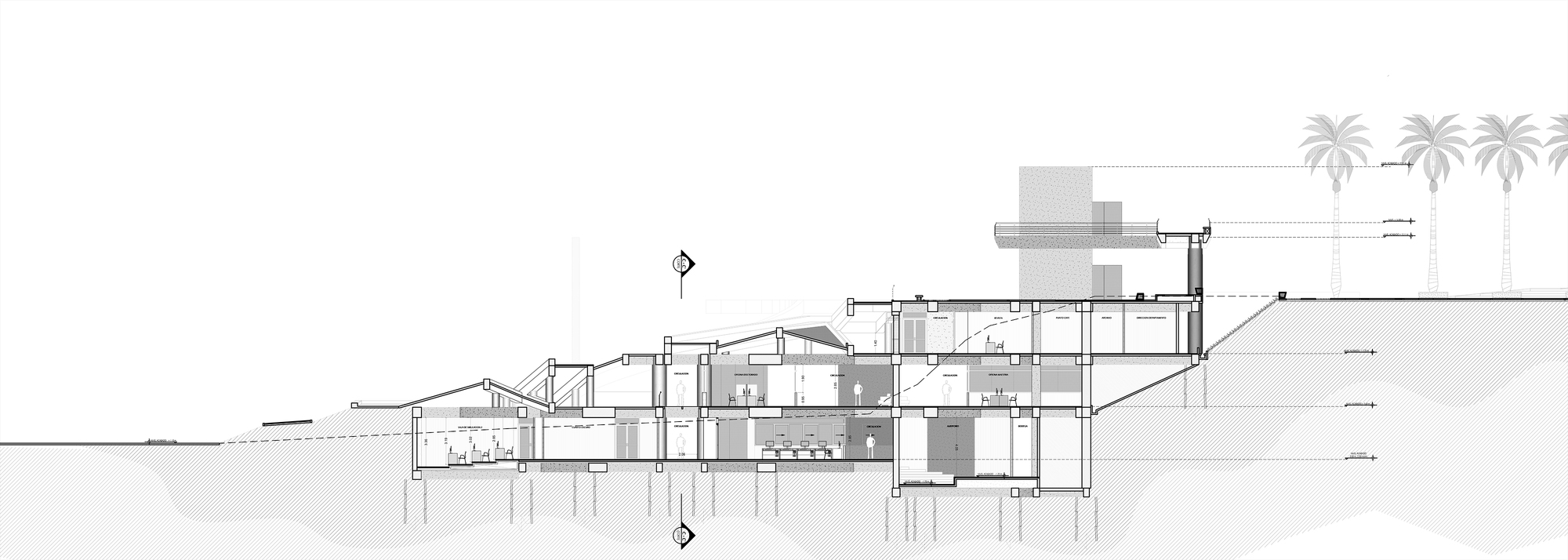 Section drawing of a terraced building stepping down a slope on piles, with palm trees drawn at the upper right