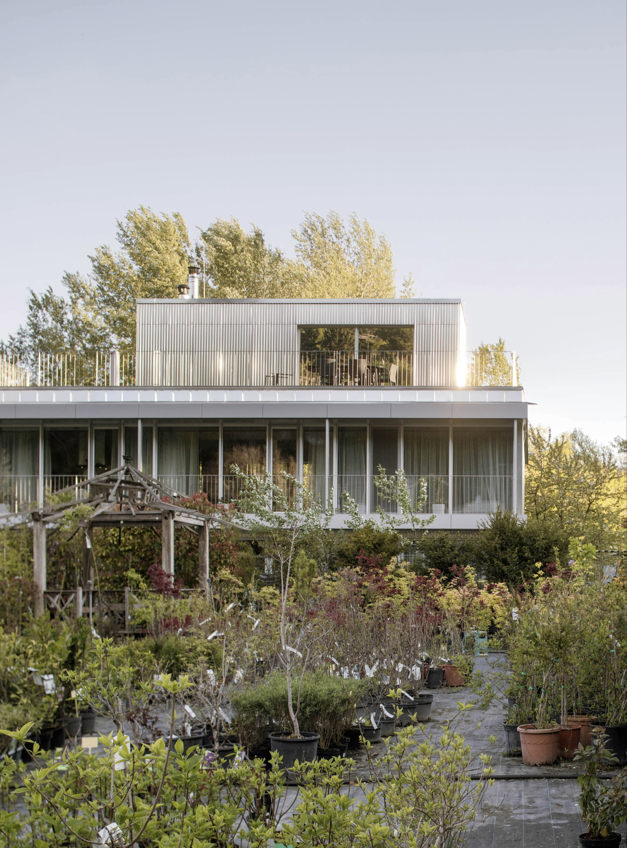 Glazed upper floors and rooftop box rising above potted plants and a timber pergola in a nursery garden