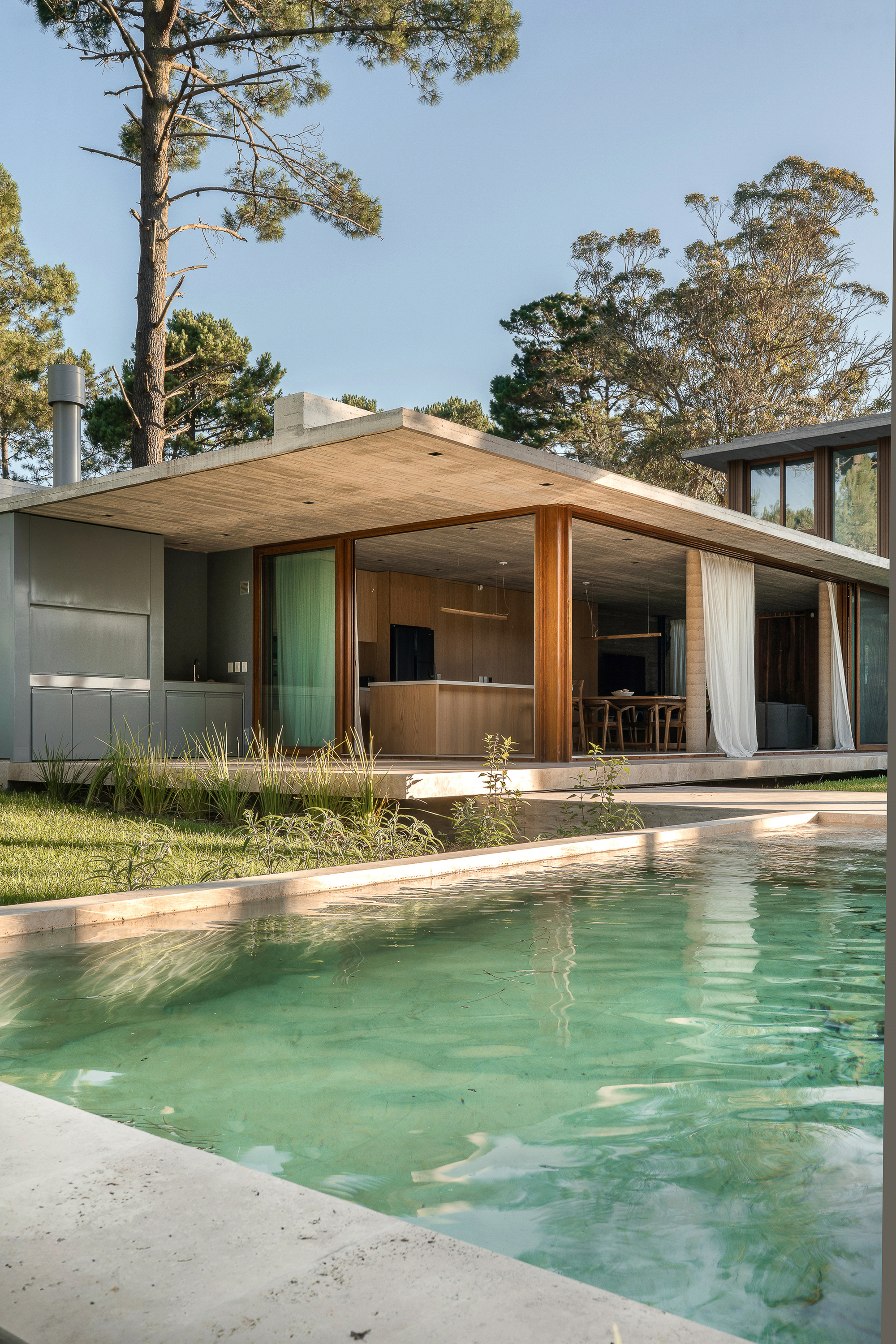 Pool edge in the foreground with the glazed timber-framed living pavilion and cantilevered concrete roof behind, under pine trees