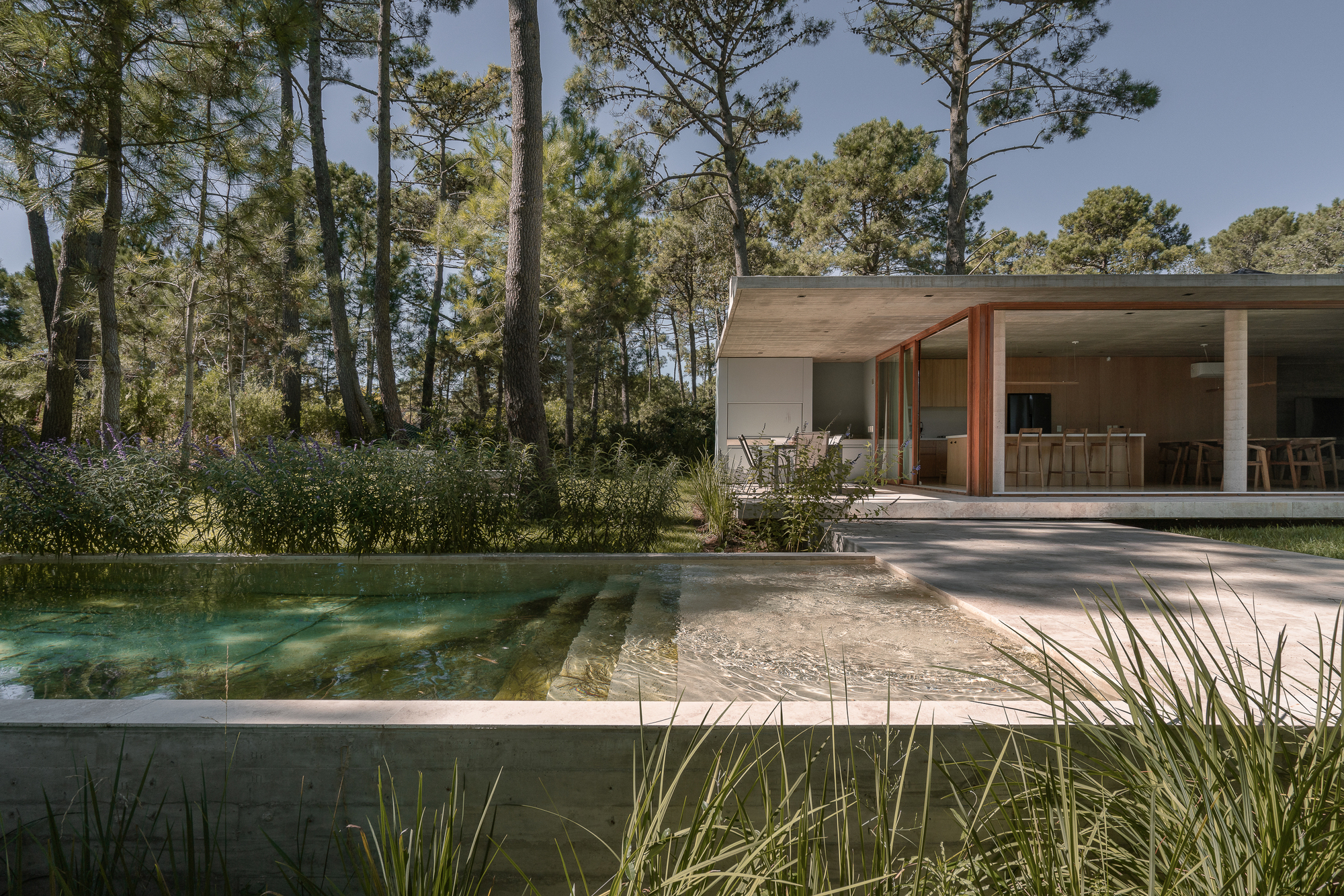 Shallow pool with stepped ledge in front of the open pavilion with red-toned timber posts, framed by tall grasses and pines