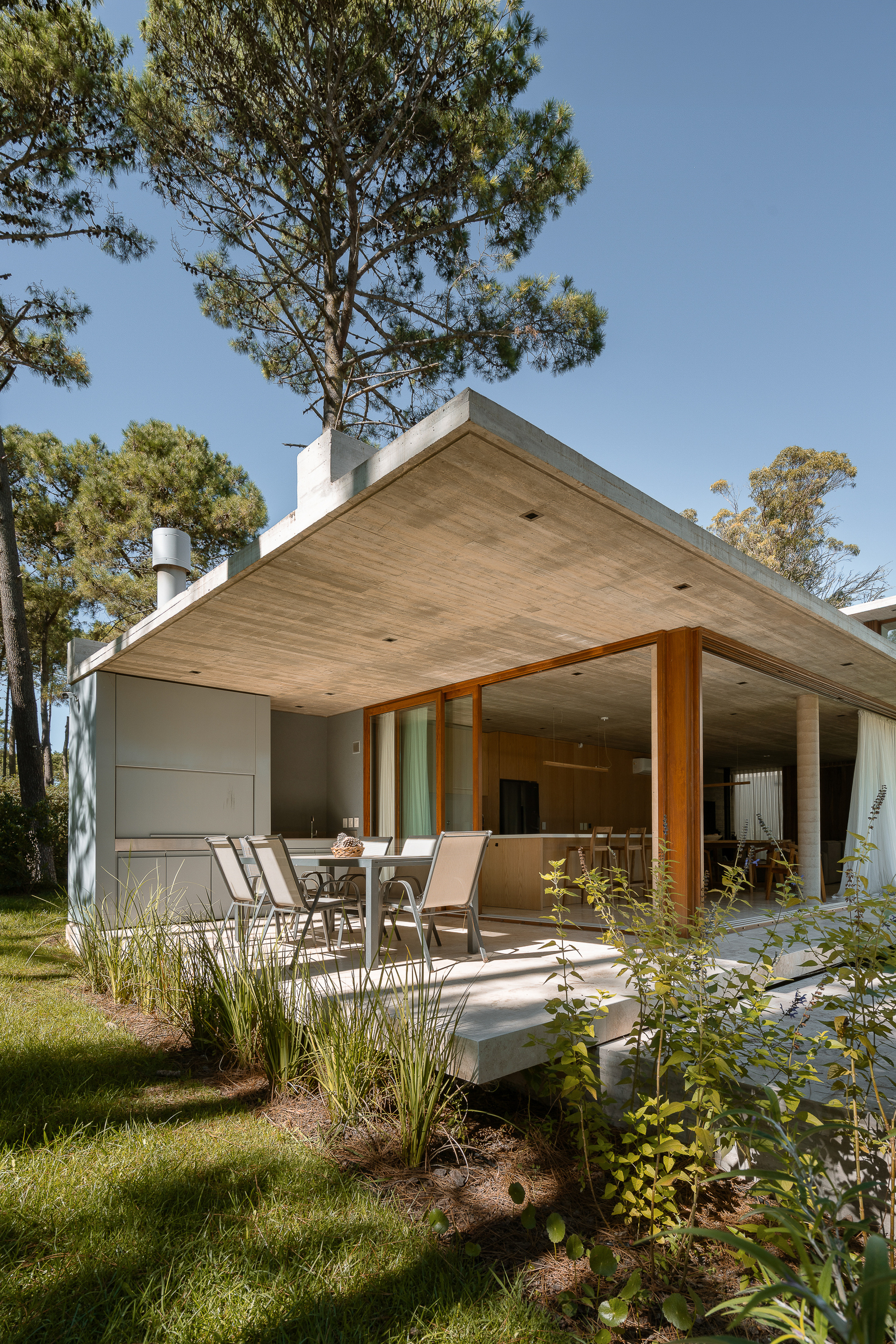 Corner of the cantilevered concrete roof over a covered terrace with chairs, framed by tall grasses and pines under blue sky