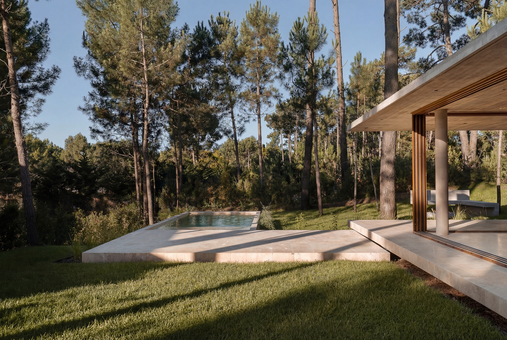 Travertine pool deck and concrete roof edge with a slim column, facing a pine grove in low evening light