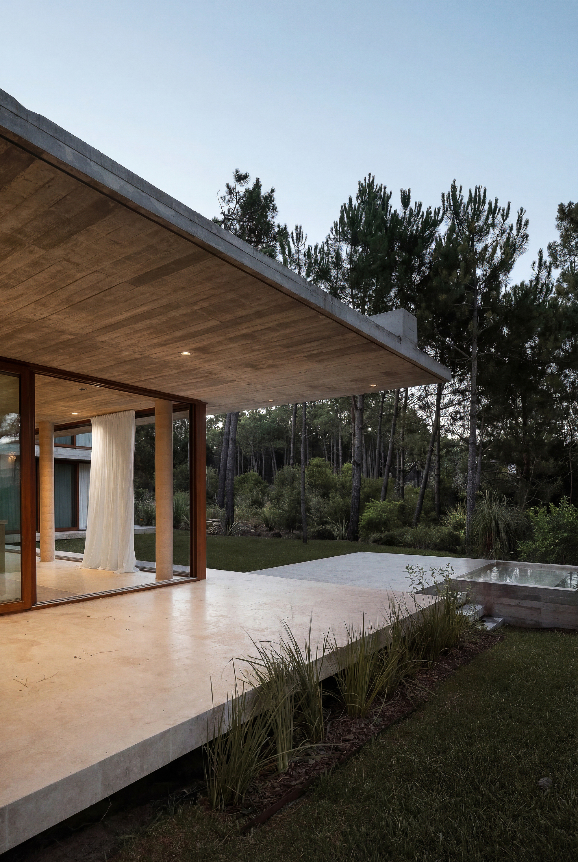 Cantilevered board-formed concrete roof over a travertine terrace with a sheer curtain and plunge pool, seen at dusk among pines