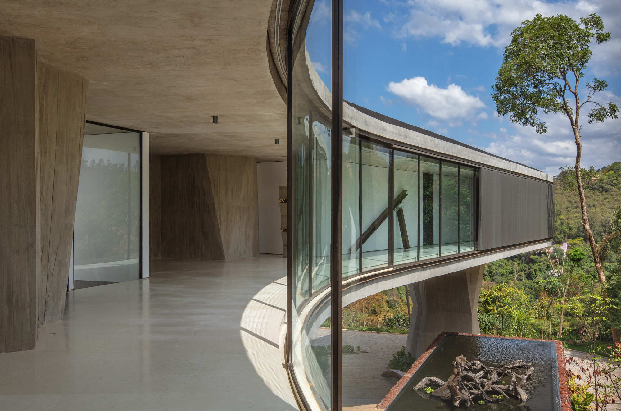 Curved glass wall and cantilevered concrete slab on a angled column, with a water basin holding driftwood below a tall tree