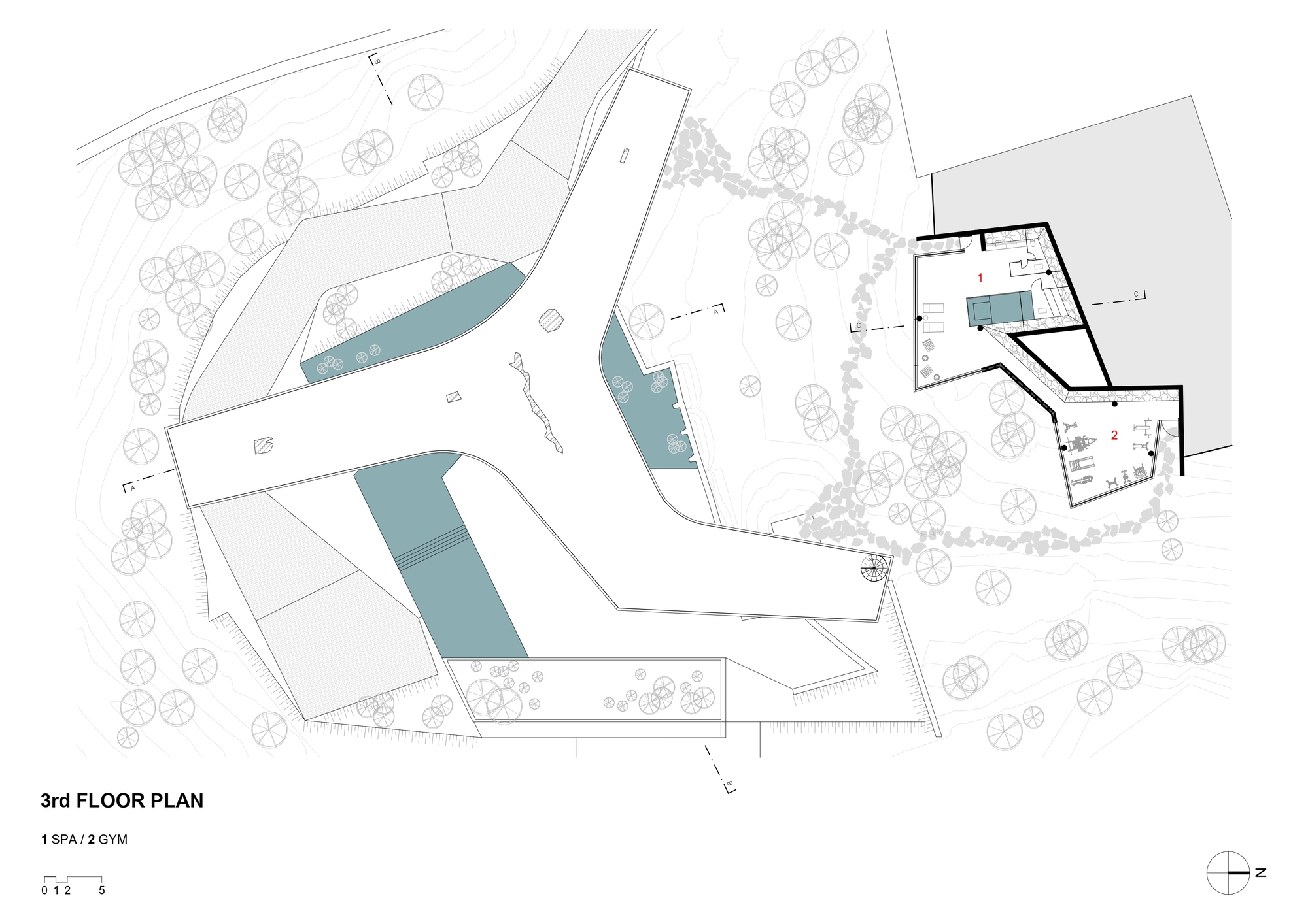 Third floor plan drawing showing the Y-shaped roof terrace with planted beds beside a separate spa and gym volume among trees