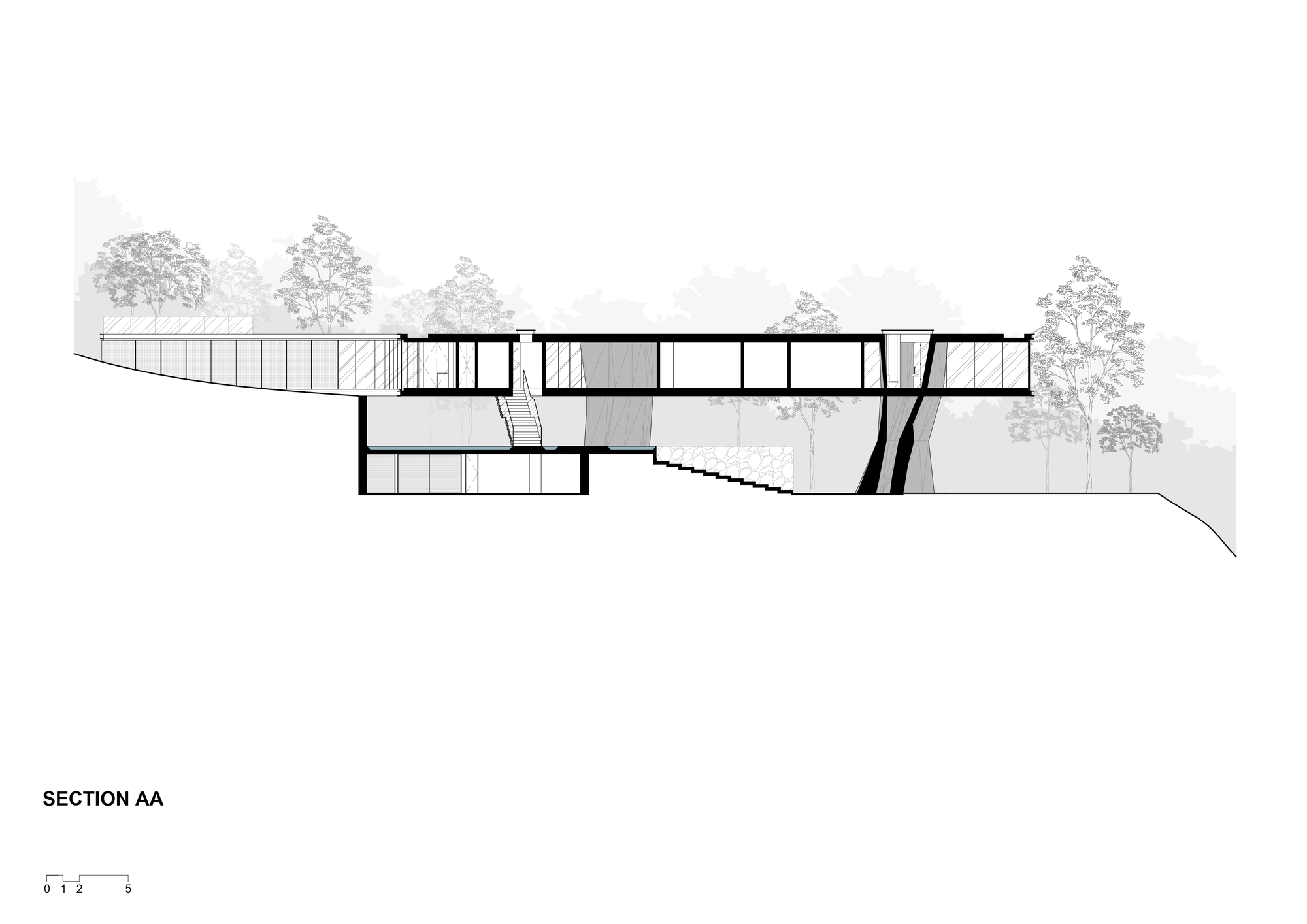 Section drawing of a long horizontal glazed volume cantilevered over a sloping, wooded site with stairs and slanted stone walls below