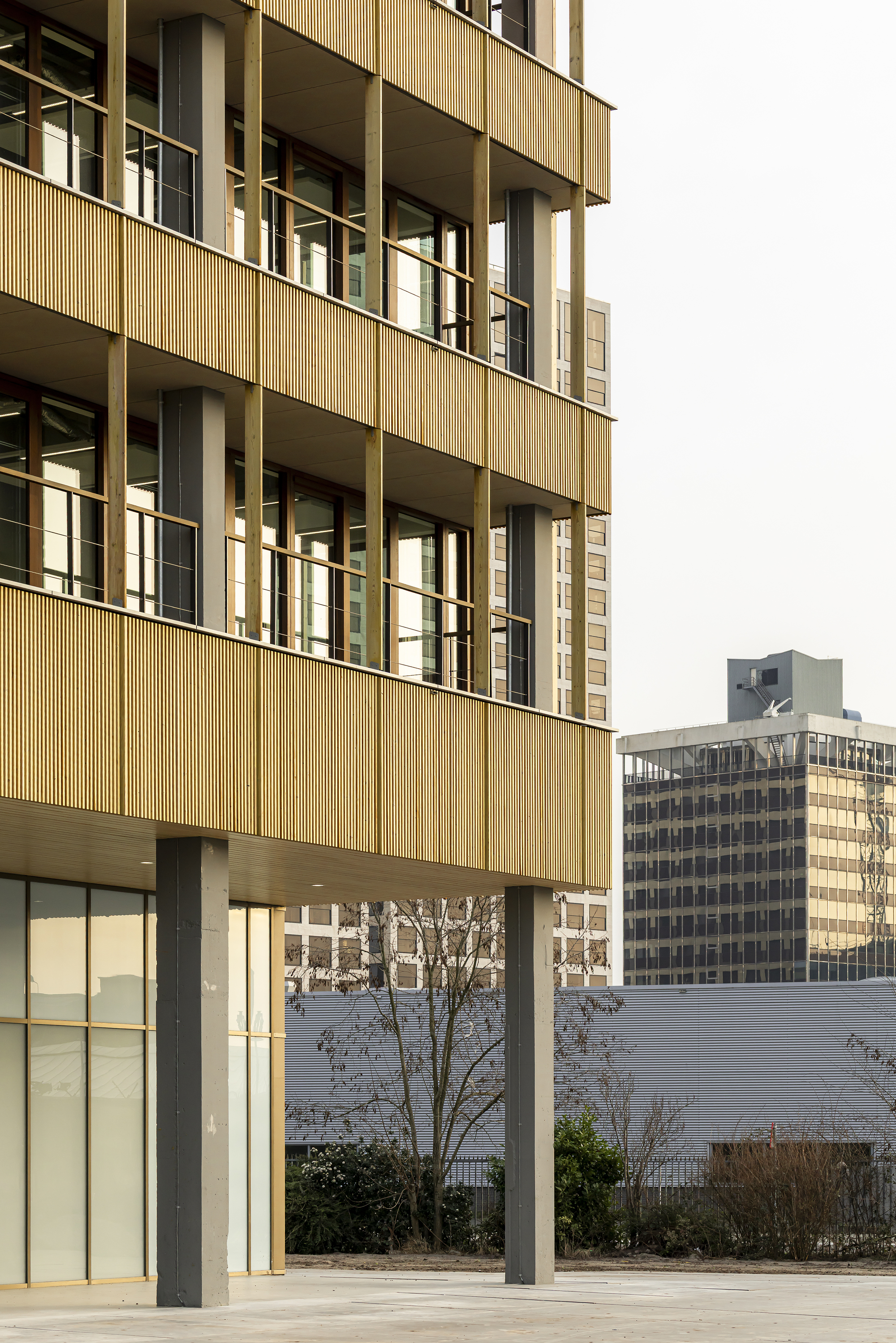 Stacked timber-clad floors with slim columns and railings, set against a distant office tower and bare winter tree