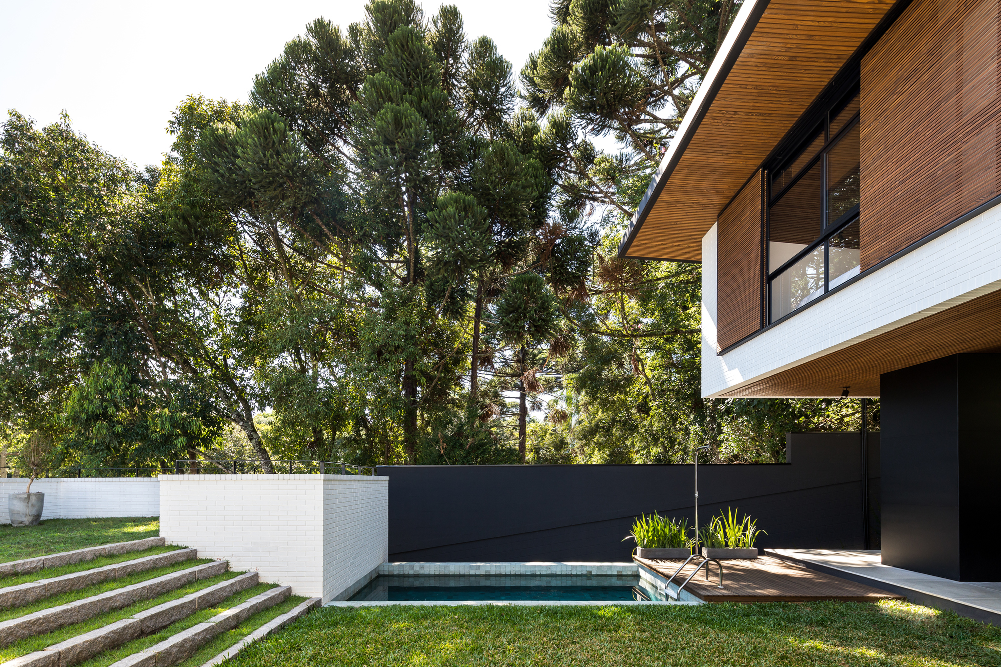 Granite steps and a white brick wall beside the plunge pool, with araucaria trees rising behind the timber-soffit overhang