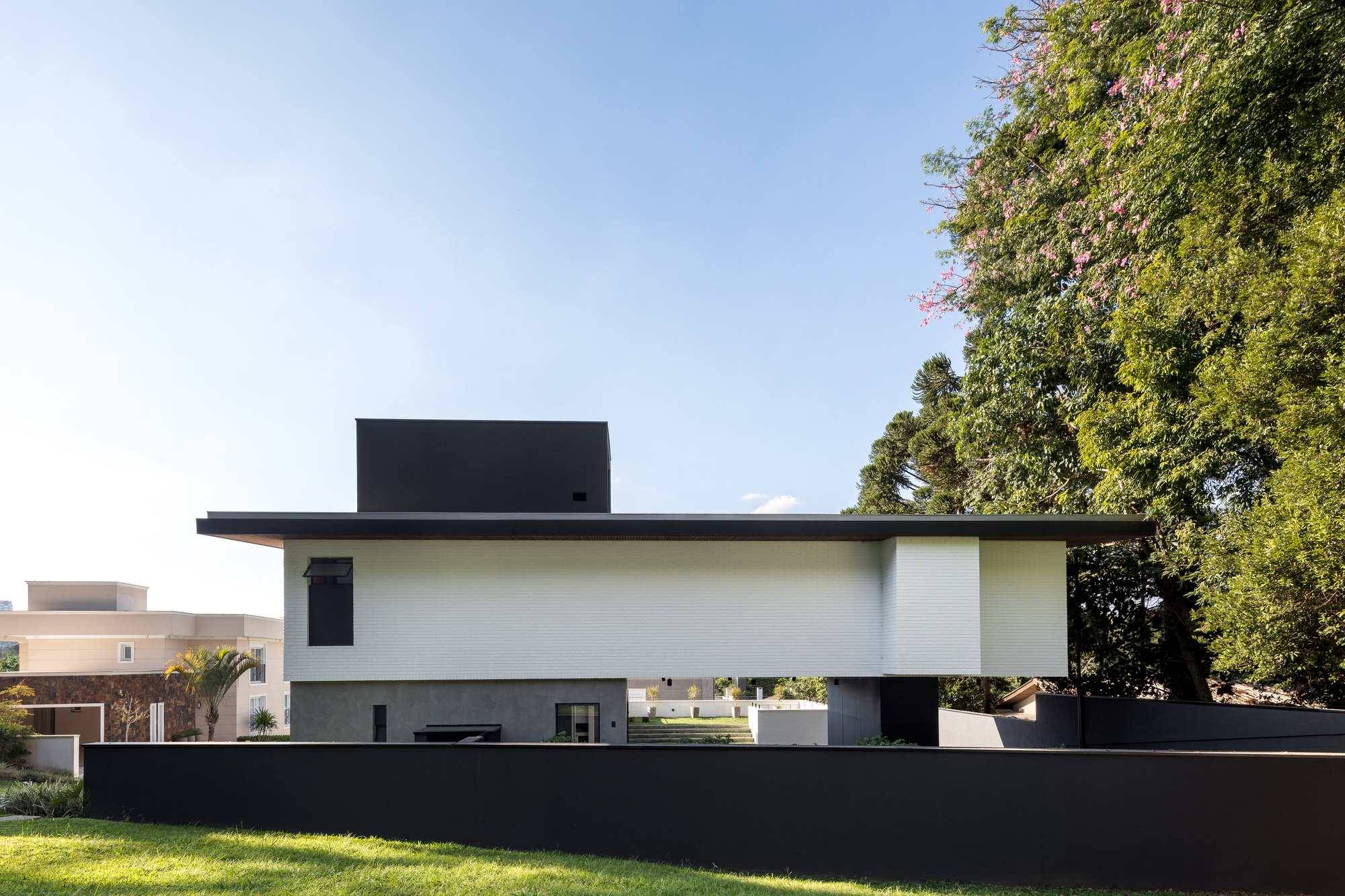 Side elevation with a white clad upper volume, black roof slab and low black wall, flowering tree at right in afternoon light