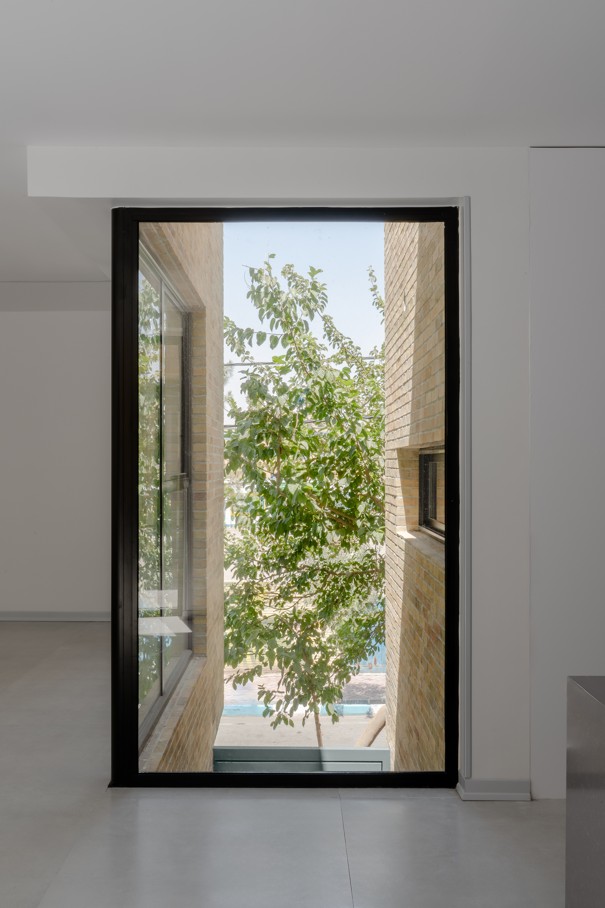 Tall fixed window framing a leafy tree between two brick walls, with a small window set into the right wall