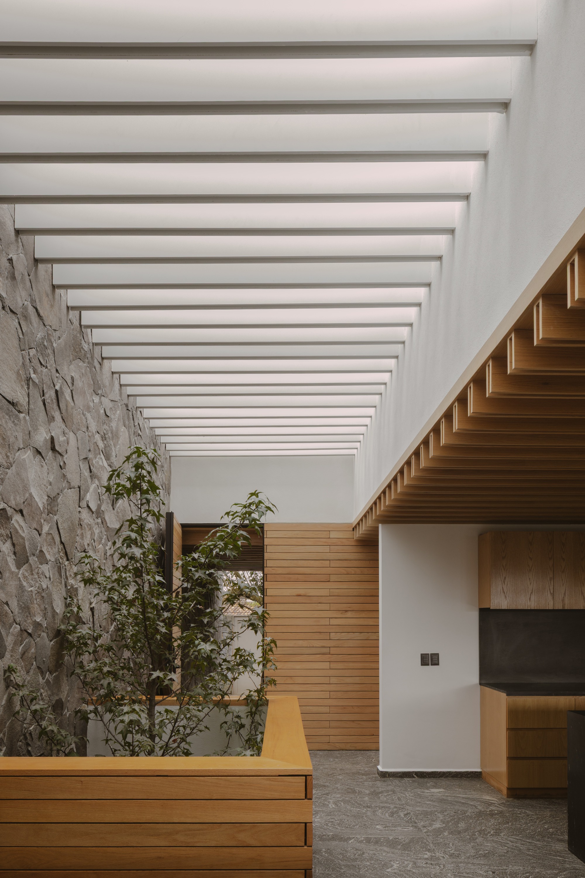 Skylit hallway with white ceiling fins, a rough stone wall and a timber planter holding a small tree