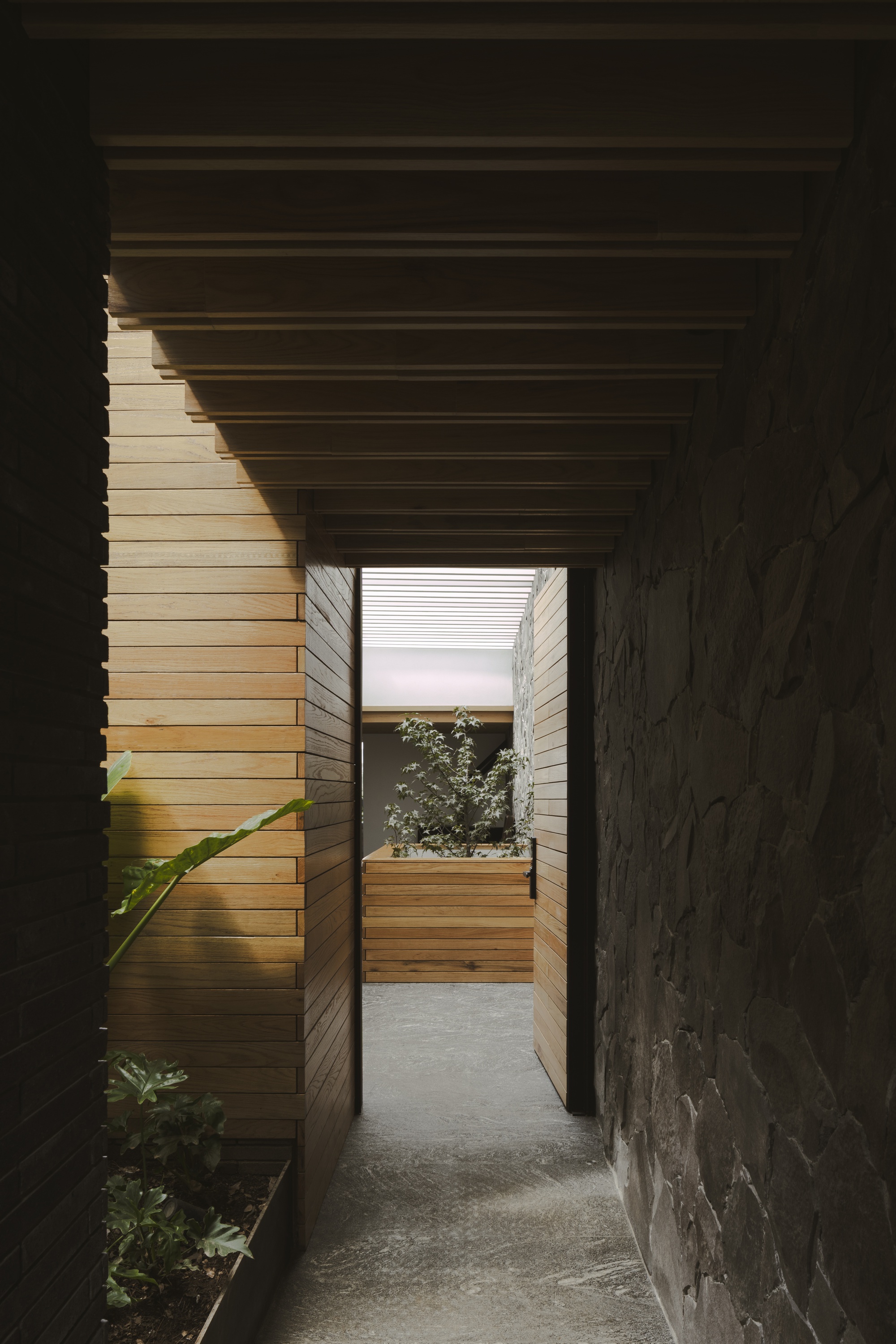 Entry corridor lined with timber slats and rough stone, leading to a planter in a daylit court