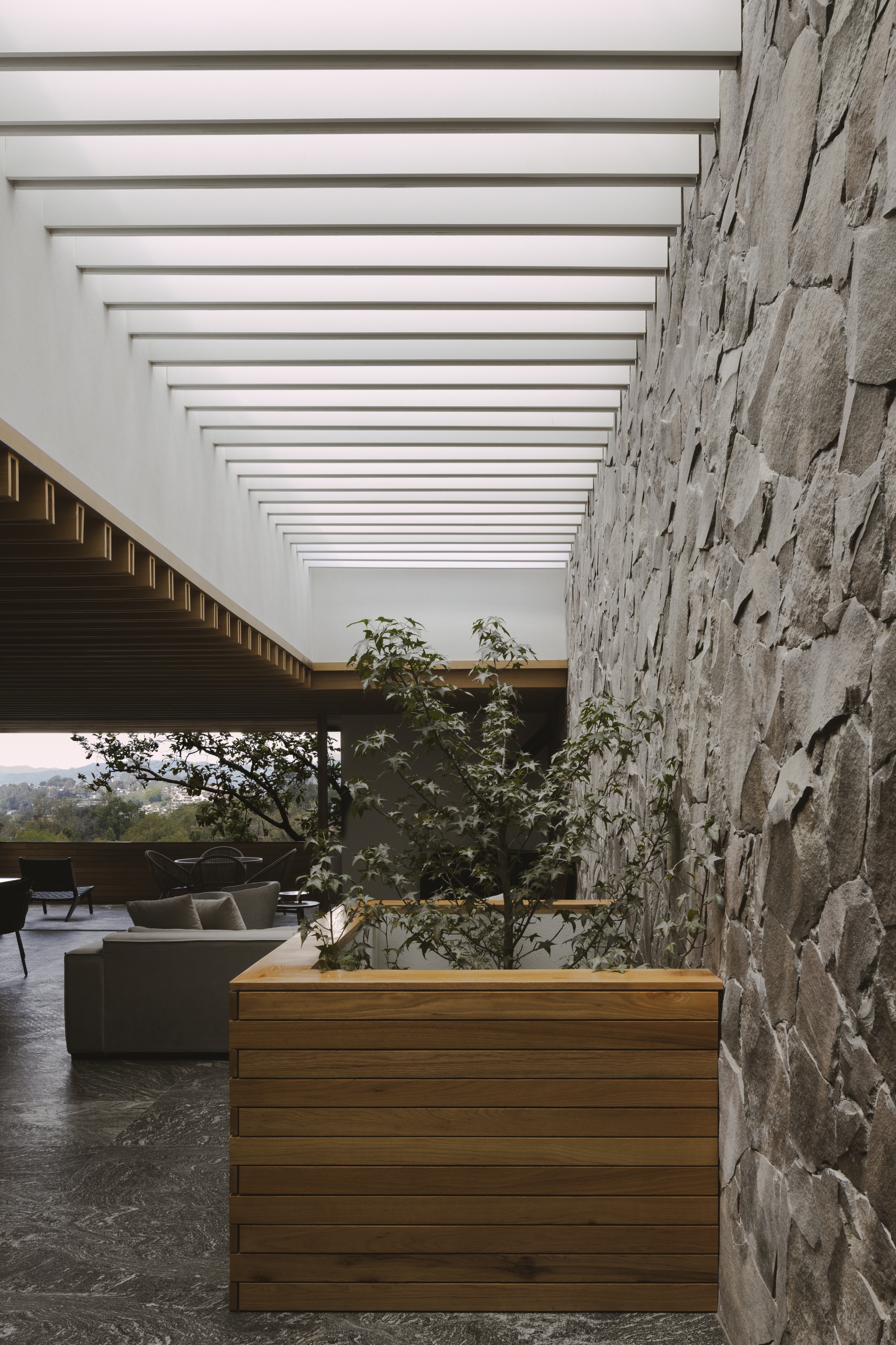 Timber planter with a small tree beside a stone wall, under a ceiling of white light baffles