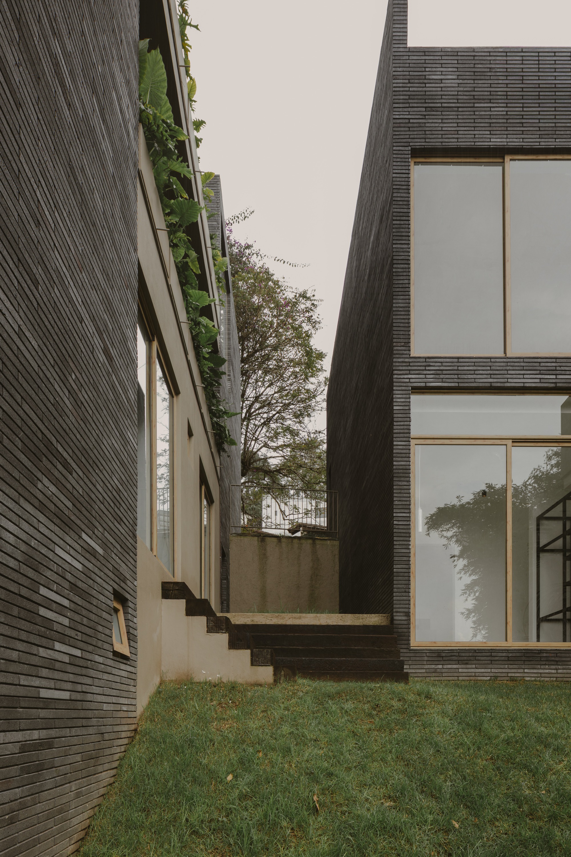 Narrow gap between two dark brick volumes with concrete steps rising over a lawn toward a leafy tree under overcast sky