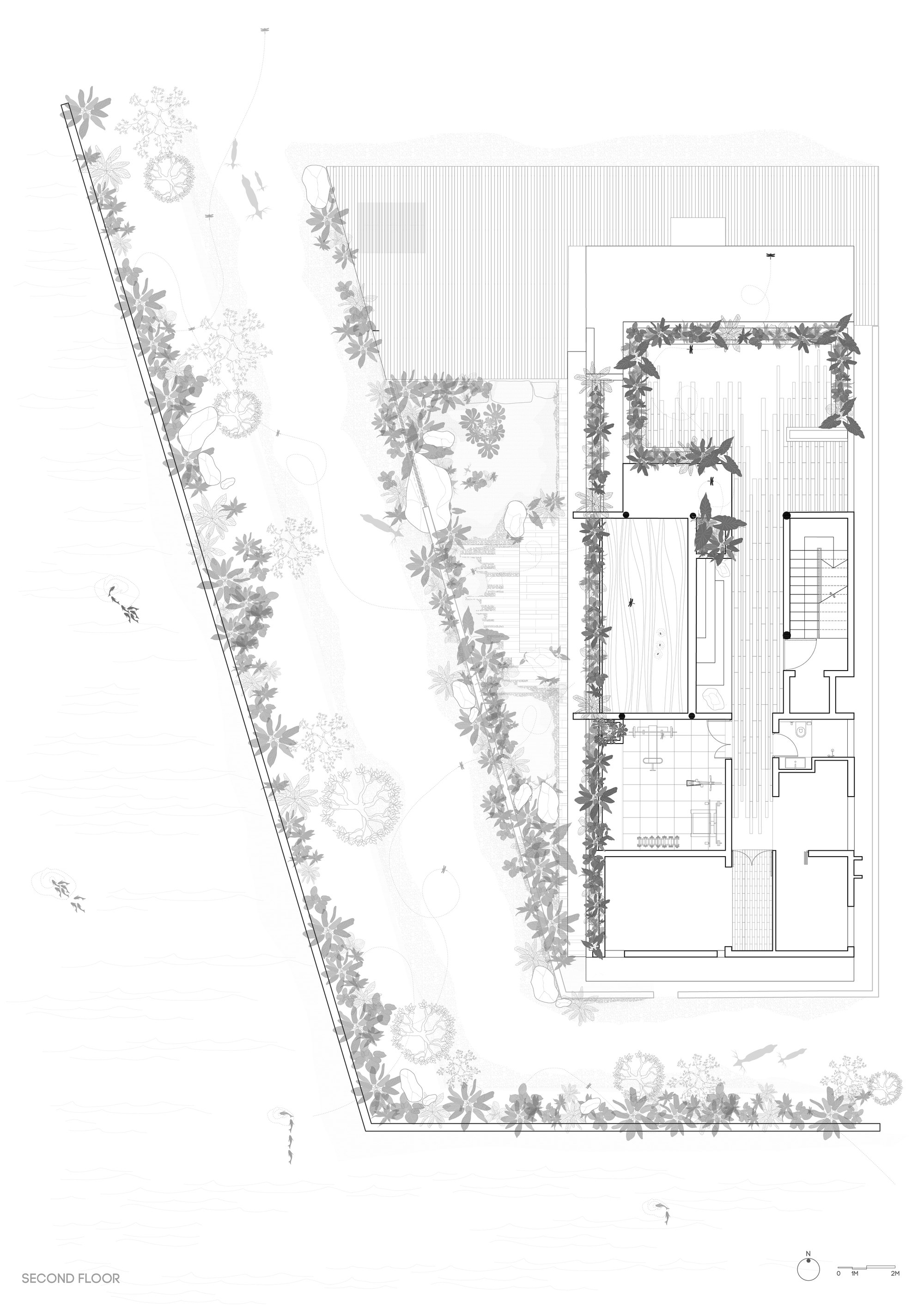 Second floor plan drawing showing a planted roof terrace, a gym, a stair core and a long slatted deck