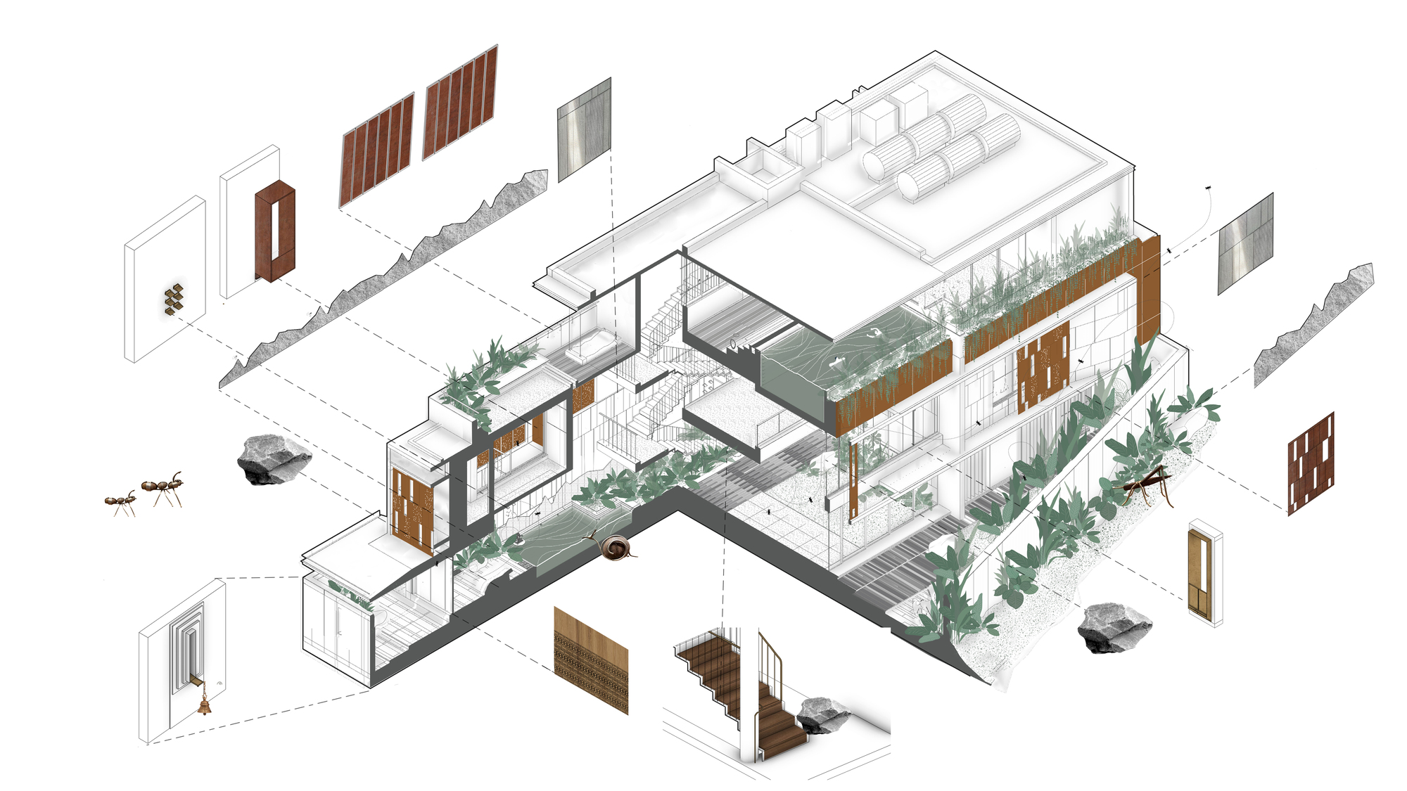 Exploded axonometric cutaway drawing of the house with planted terraces, rust-colored screens, stairs and material details floating around it, plus ants and bou