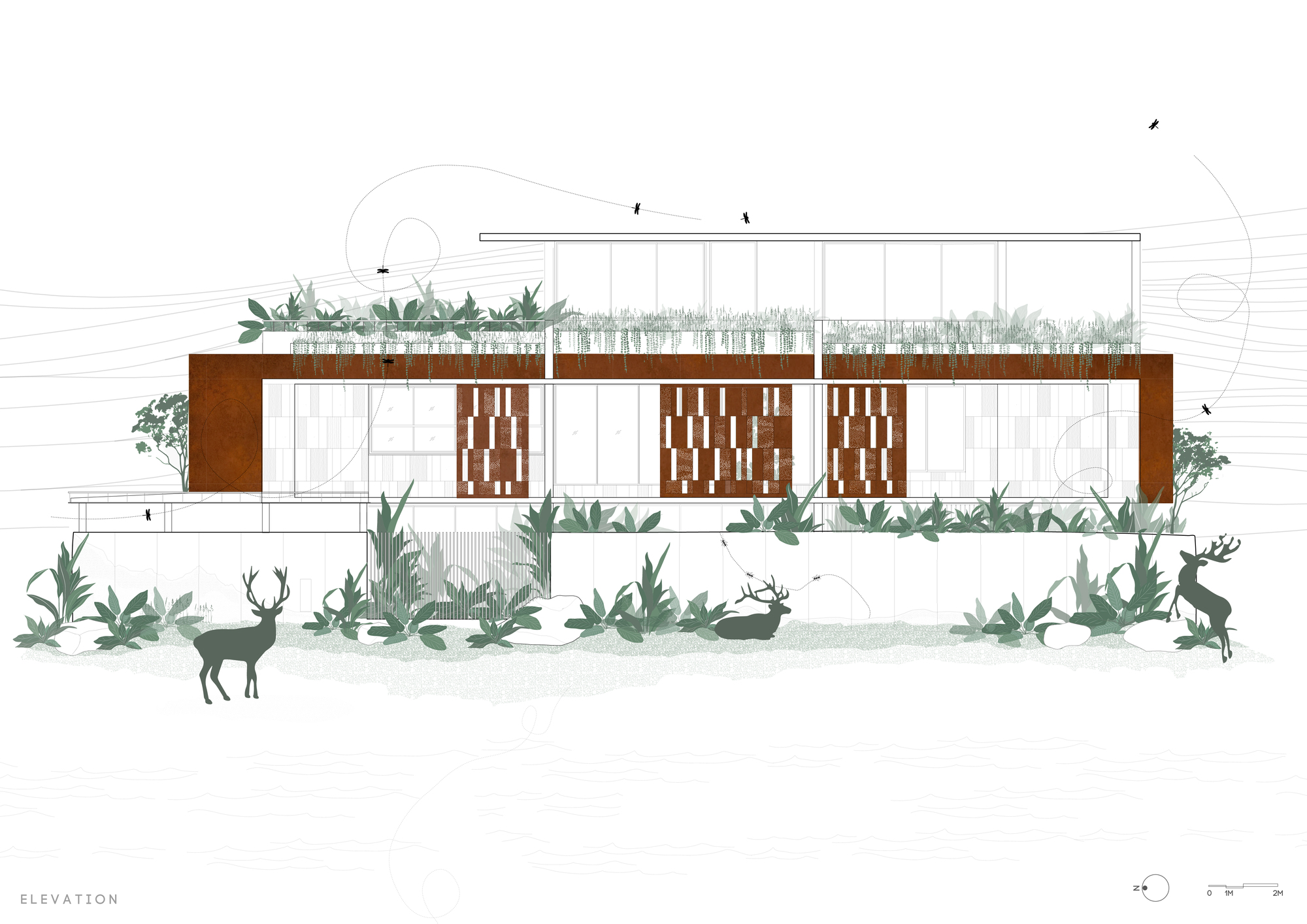 Elevation drawing of a flat-roofed house with rust-toned screen panels and a planted roof, deer silhouettes and flying insects in the foreground