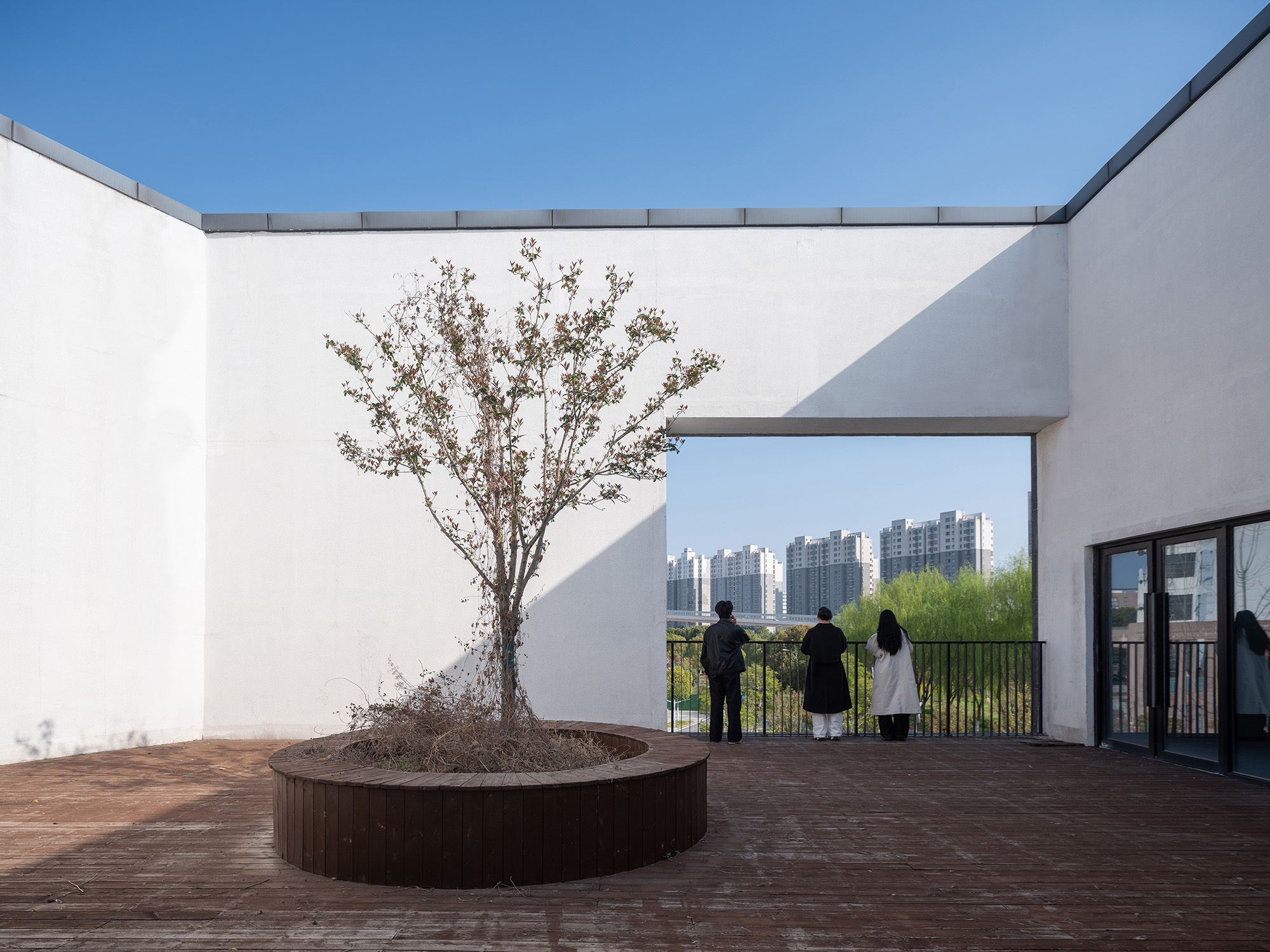 Rooftop terrace with a round timber planter holding a bare tree, and three visitors looking out through a wall opening under clear sky
