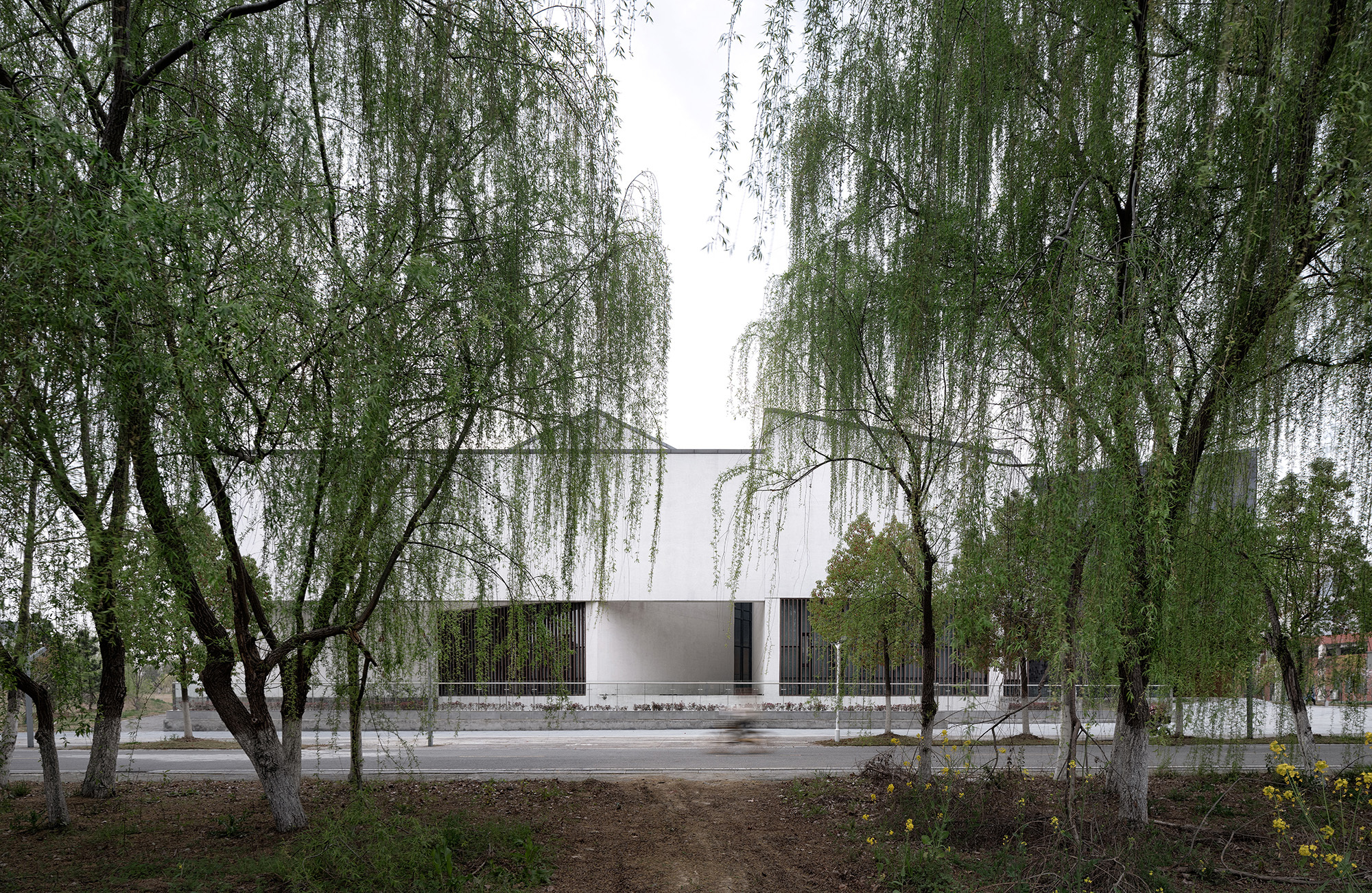 White gallery wall and dark slatted openings glimpsed through weeping willows, a cyclist blurred on the road in front