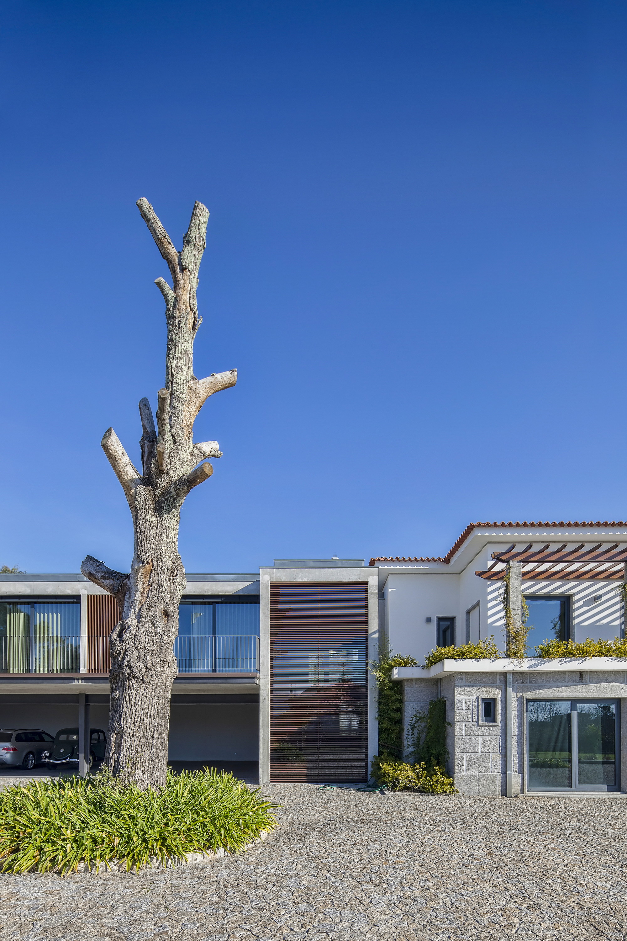 Pruned dead tree trunk in a planted circle before a granite and white-rendered house with a timber-clad entrance bay