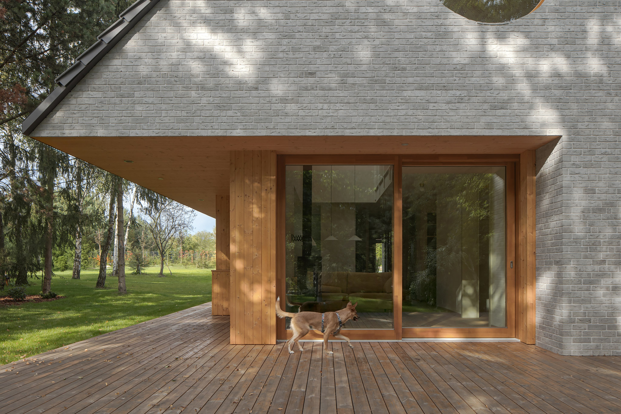 Sliding glass doors framed in timber beneath a deep overhang, with a dog walking across the deck in dappled light