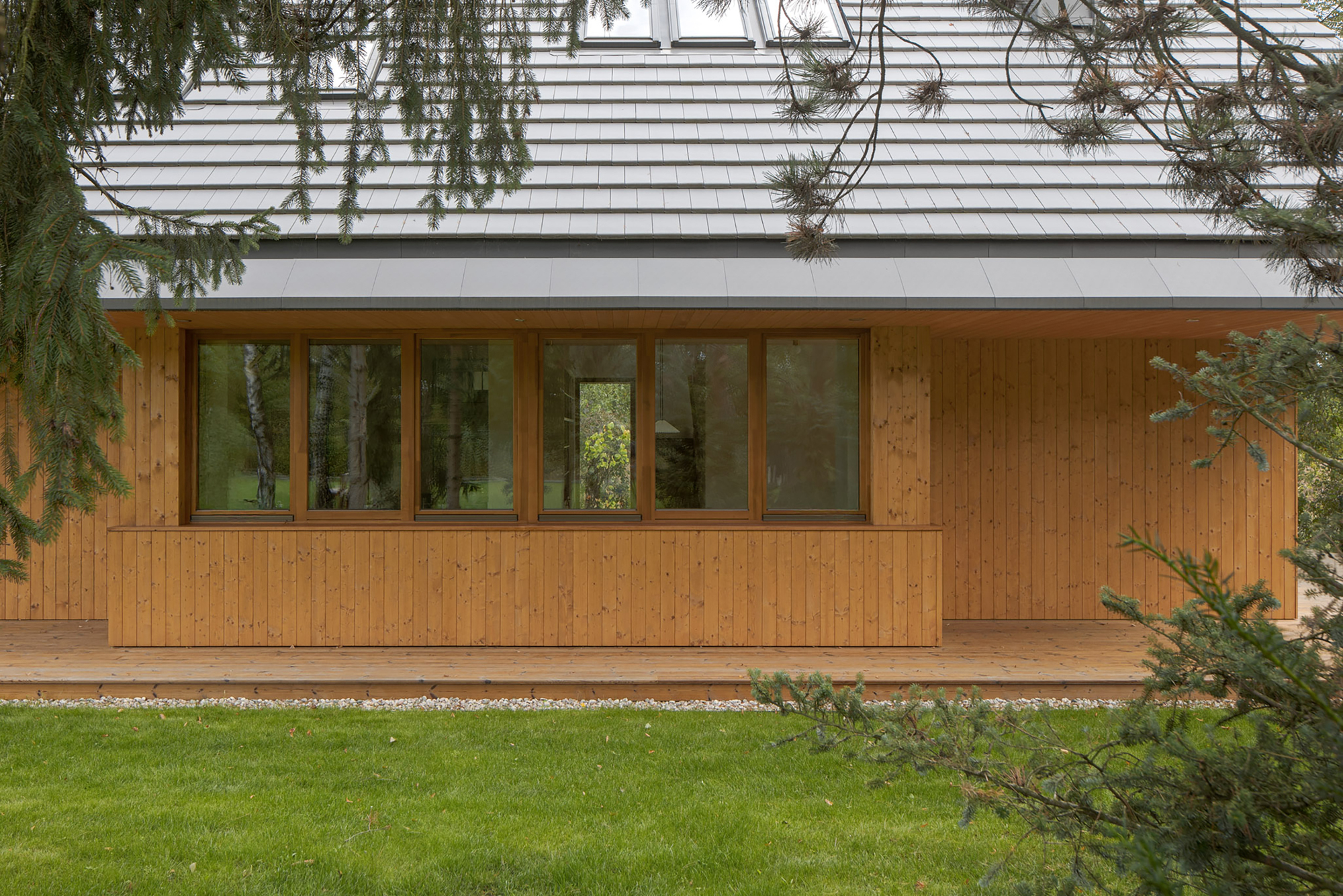 Timber-clad facade with a wide window band and low deck, framed by spruce branches over a green lawn