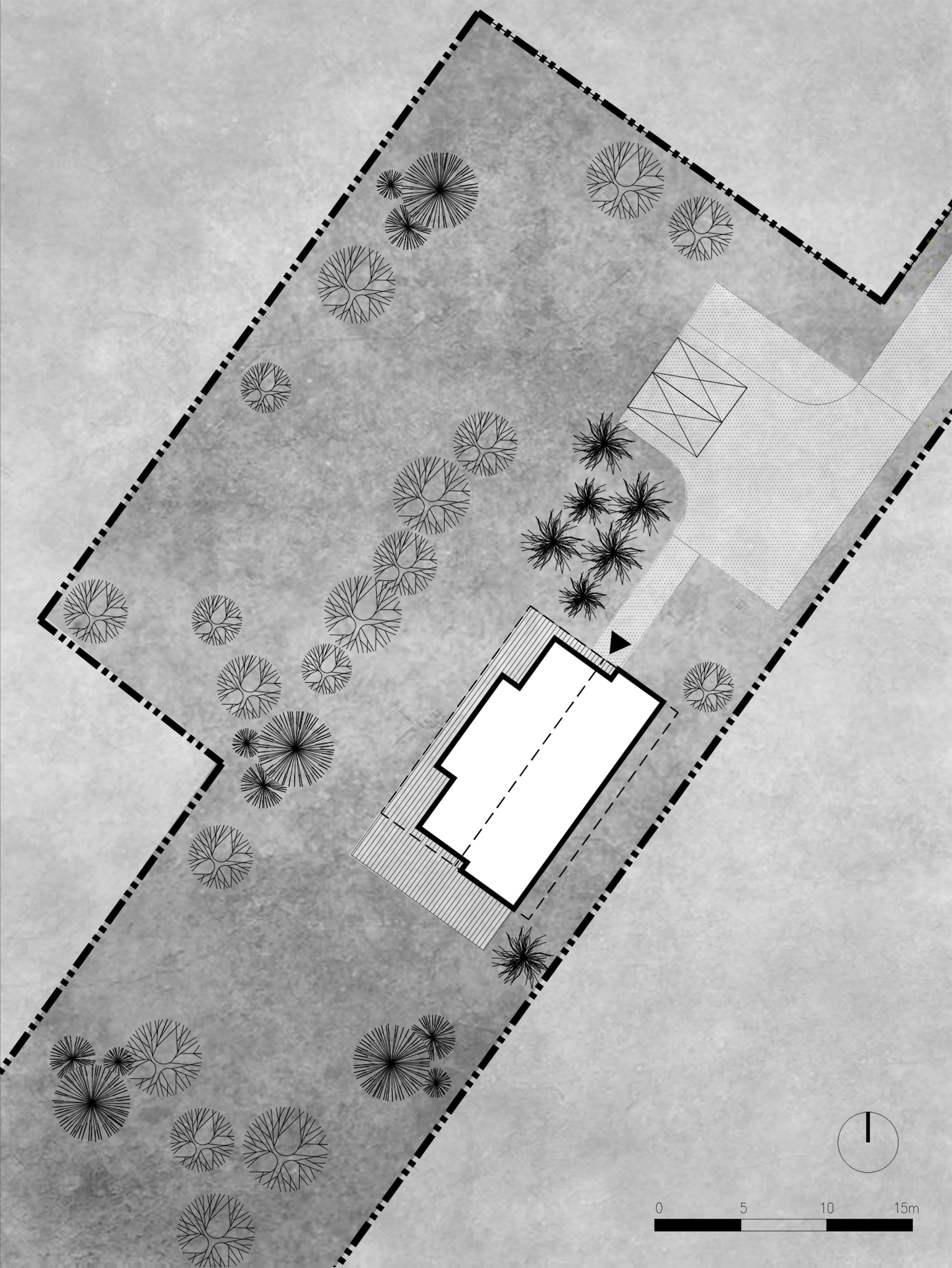 Site plan drawing showing the rectangular house footprint on an elongated plot with scattered trees, a driveway and a scale bar
