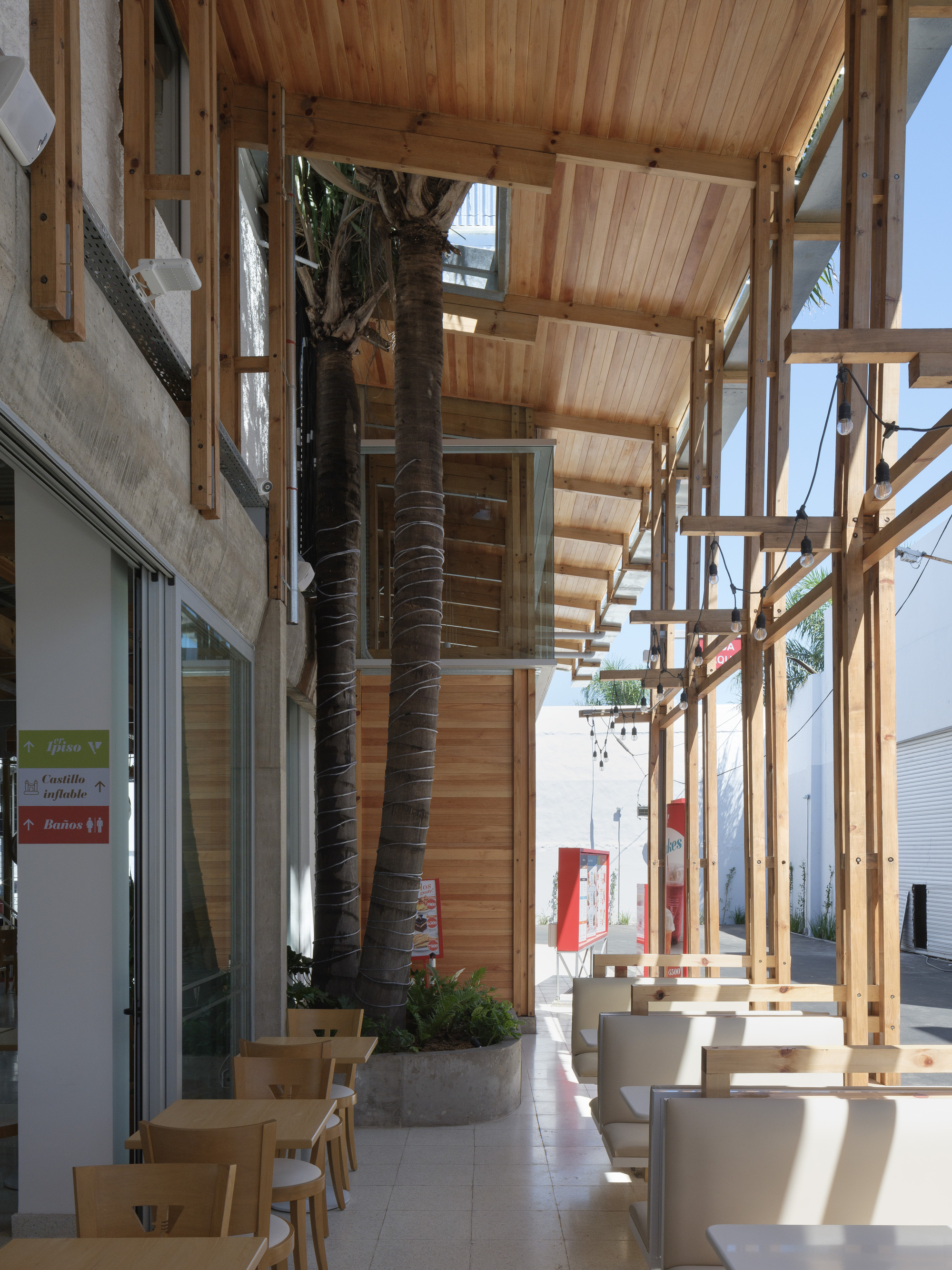 Covered side terrace with palm trunks rising through the timber roof, booth seating and sunlight falling on the tiled floor