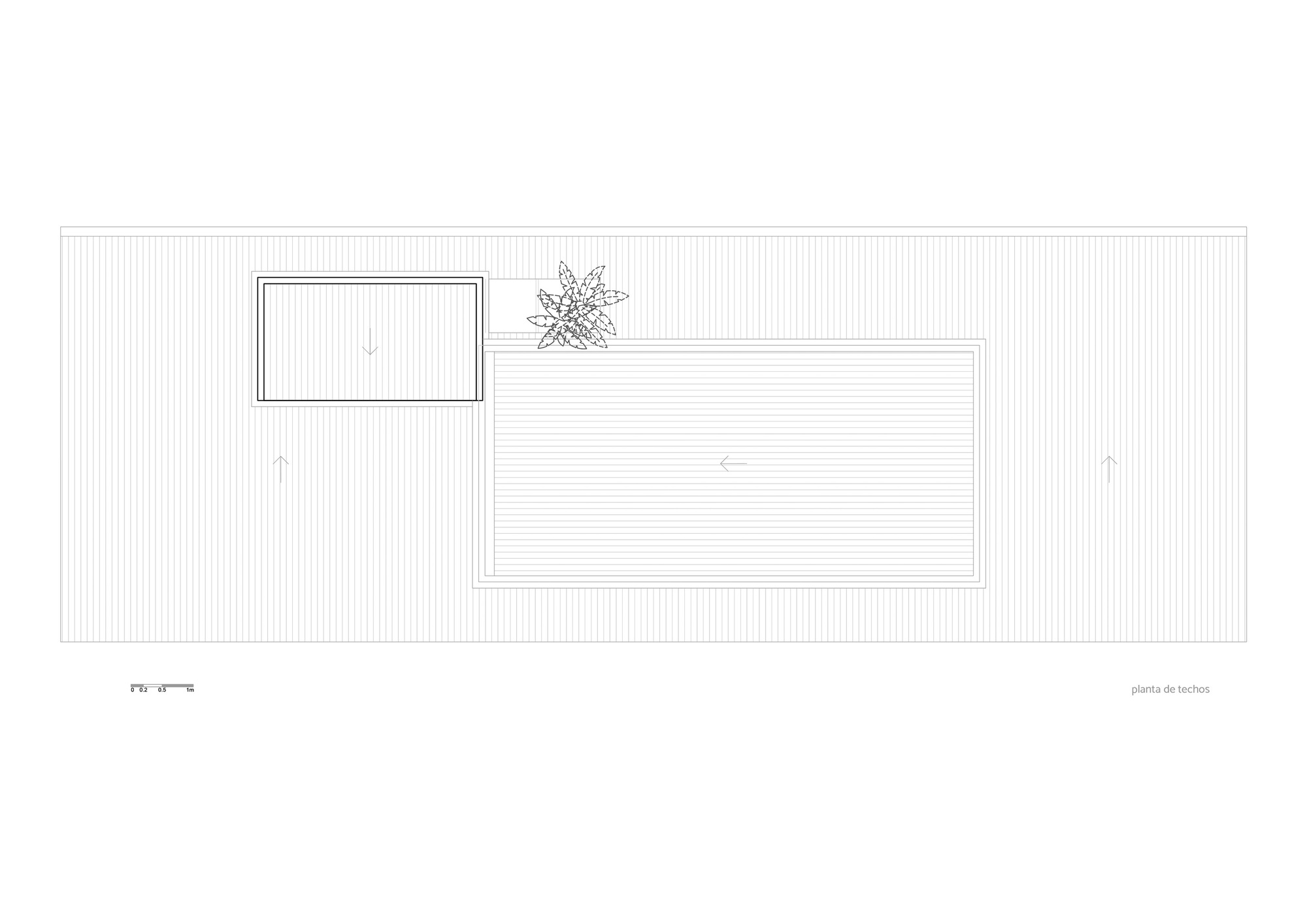 Roof plan drawing showing ribbed roof surfaces with slope arrows, two inset rectangular roof panels and a palm beside them
