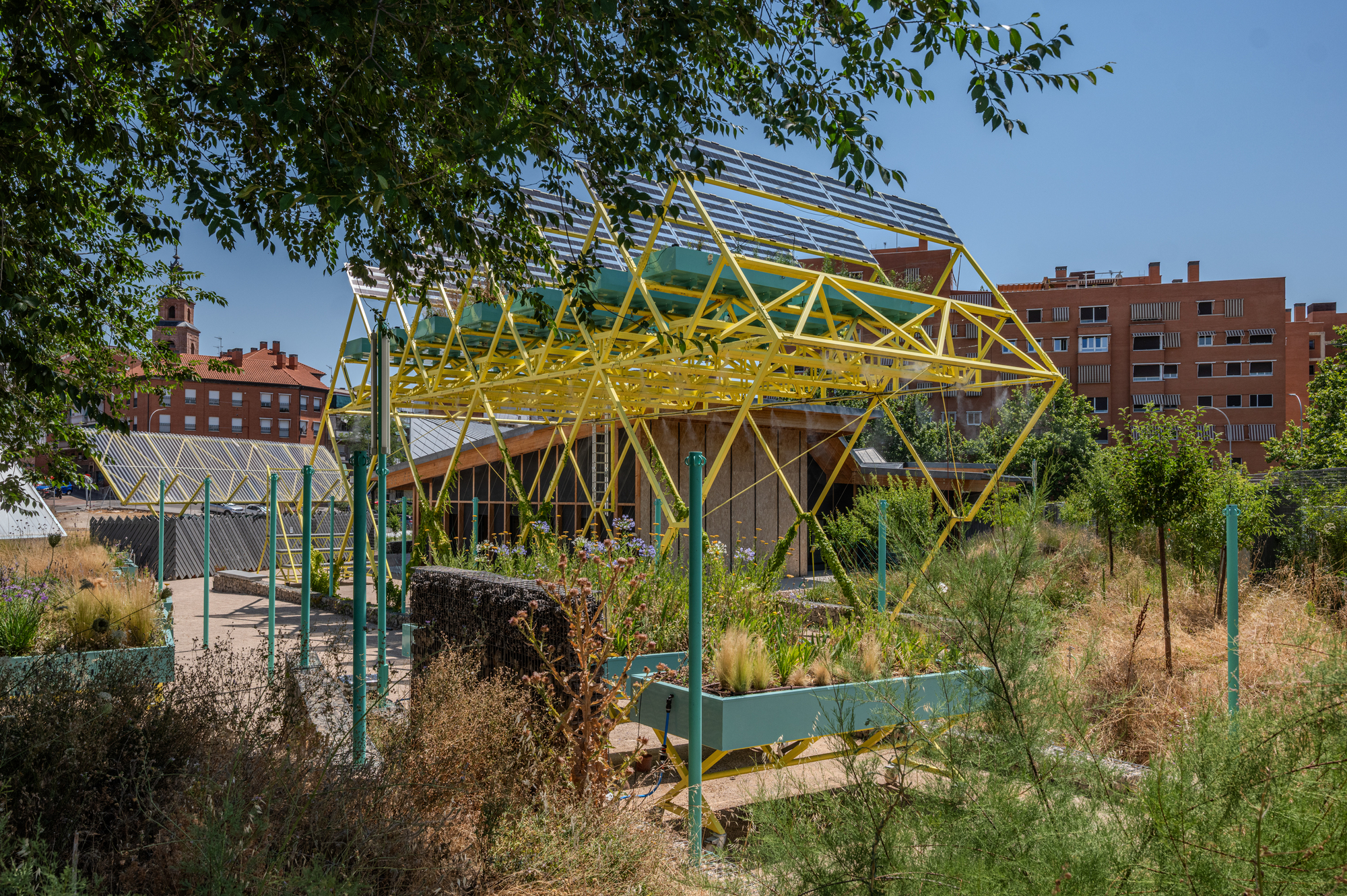 Yellow lattice frame with solar panels rising behind planted teal troughs and dry grasses, with brick apartment blocks beyond in summer sun
