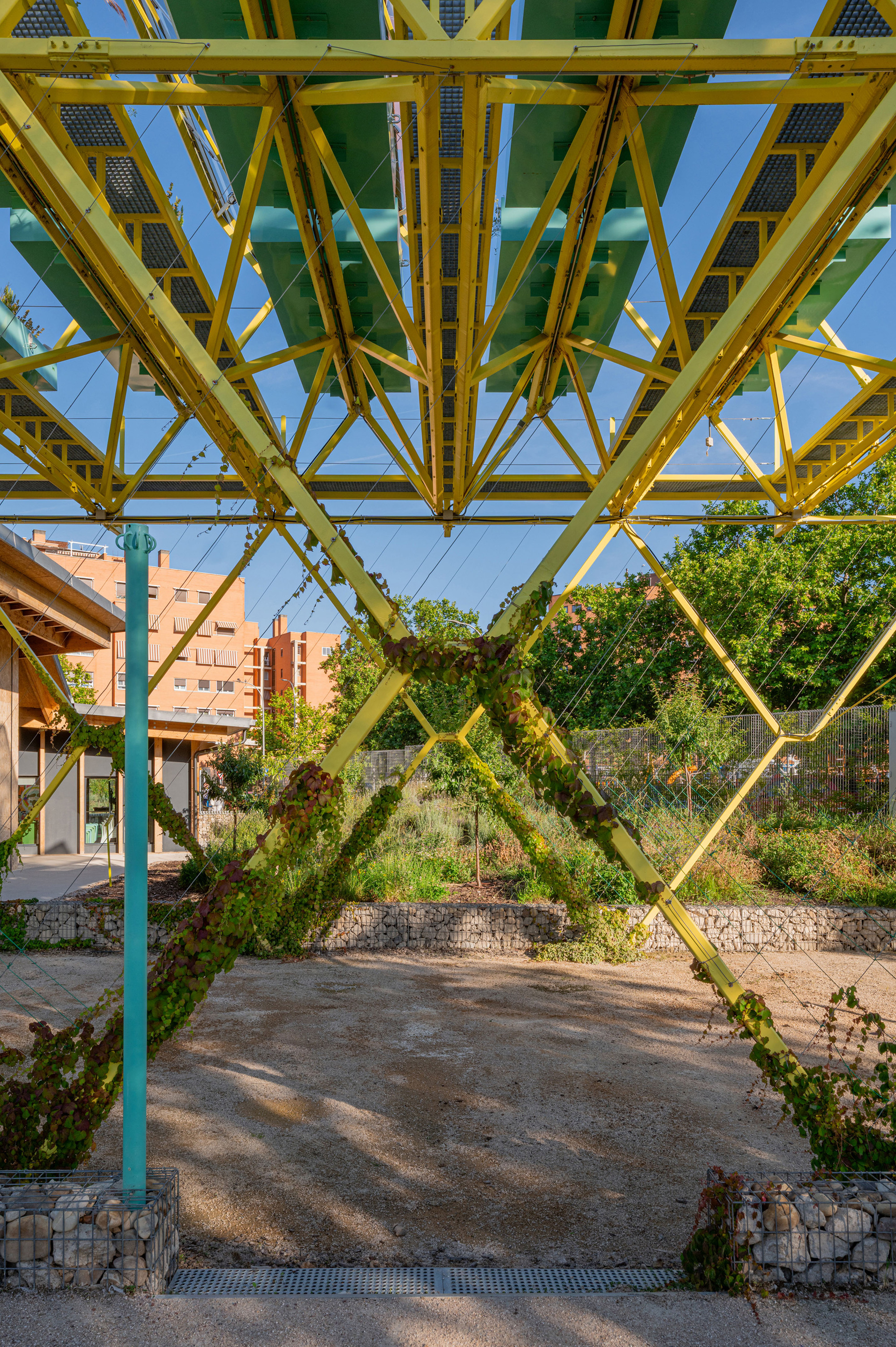 Looking up through diagonal yellow steel members wrapped in climbing vines, with gabion walls and a gravel courtyard in dappled light