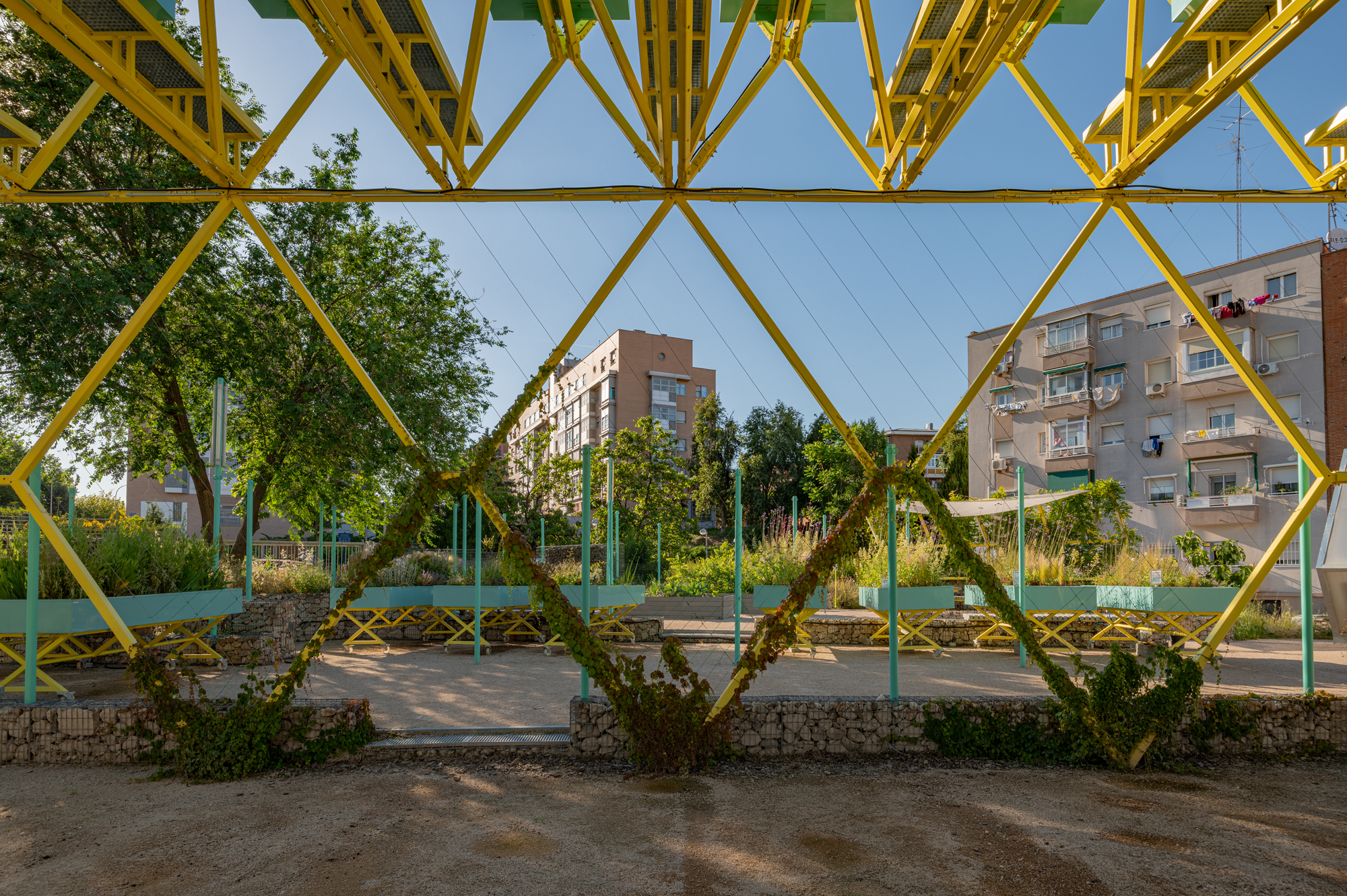 View through crossing yellow steel diagonals draped with vines toward planter beds, gabion edges and apartment blocks in late sunlight