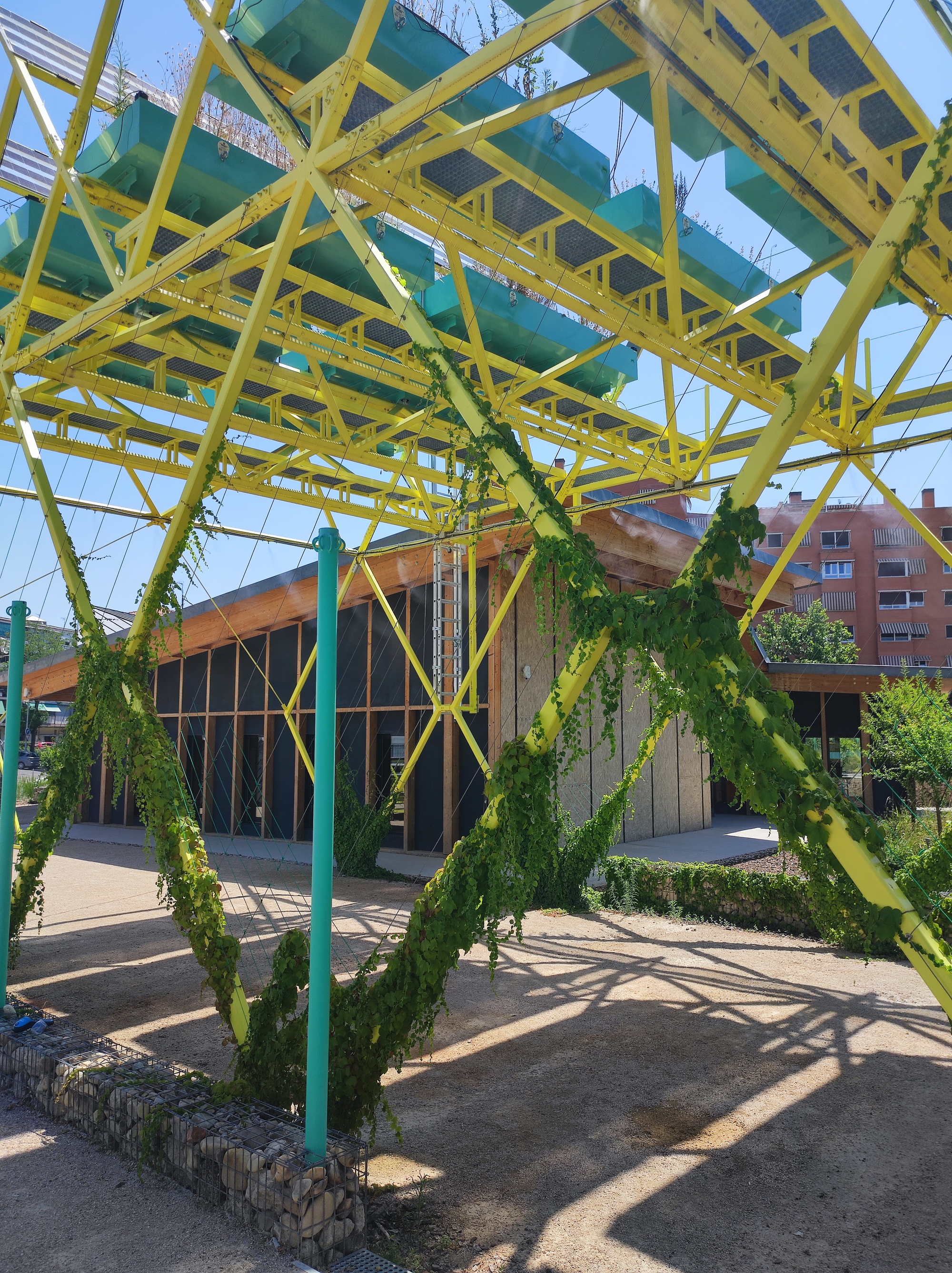 Vines climbing yellow diagonal steel members of the pergola, with a timber-clad pavilion behind and sharp shadows on the gravel