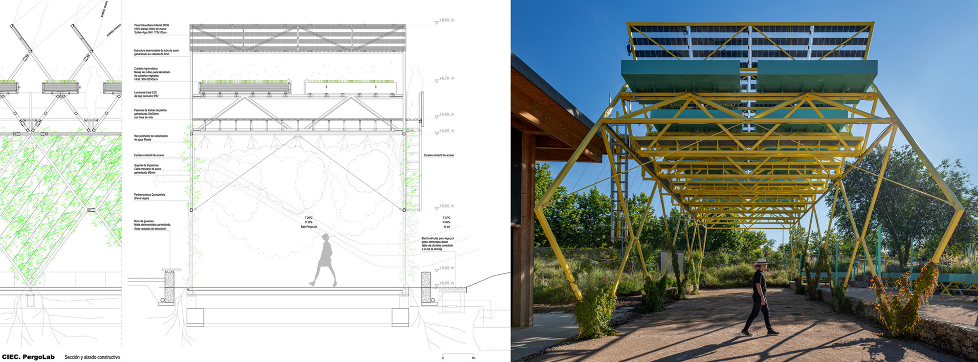 Construction section drawing beside a photograph of a person walking under the yellow steel pergola topped with solar panels
