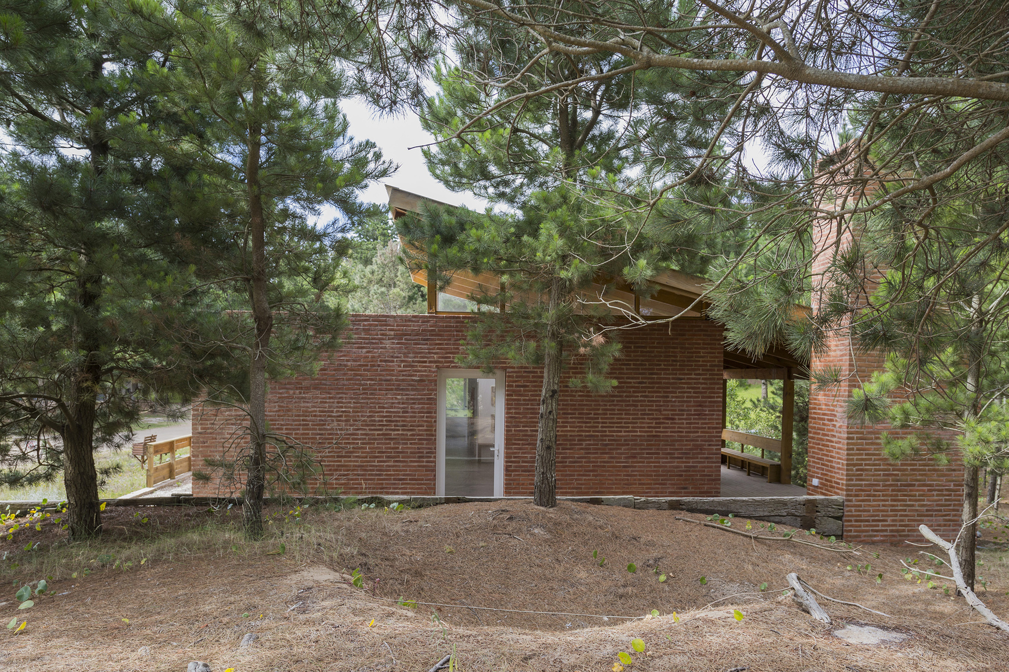 Red brick wall with a glazed door and timber-framed roof edge, seen through pine branches over a bed of needles