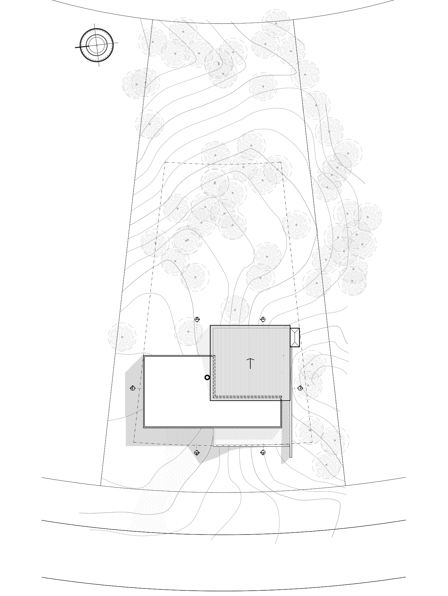 Site plan drawing showing two overlapping rectangular roofs on a tapering lot, with contour lines and scattered tree canopies
